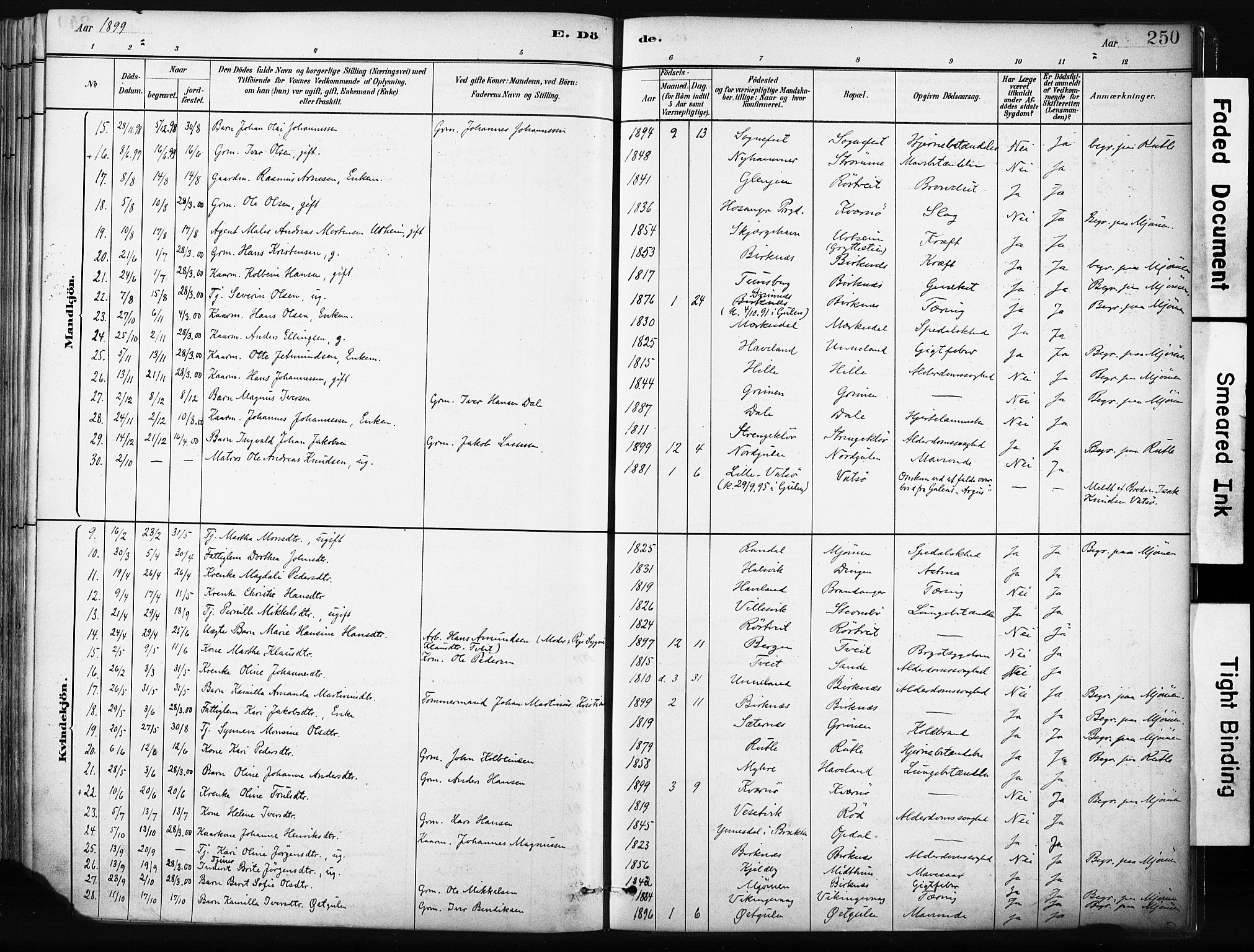 Gulen sokneprestembete, AV/SAB-A-80201/H/Haa/Haab/L0001: Parish register (official) no. B 1, 1881-1905, p. 250