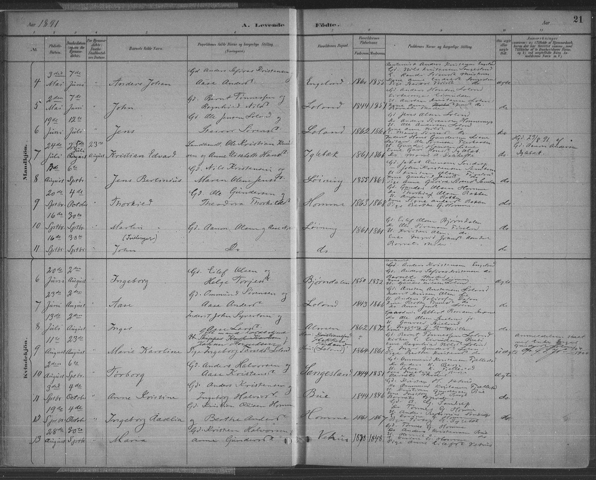 Vennesla sokneprestkontor, SAK/1111-0045/Fa/Fac/L0009: Parish register (official) no. A 9, 1884-1901, p. 21