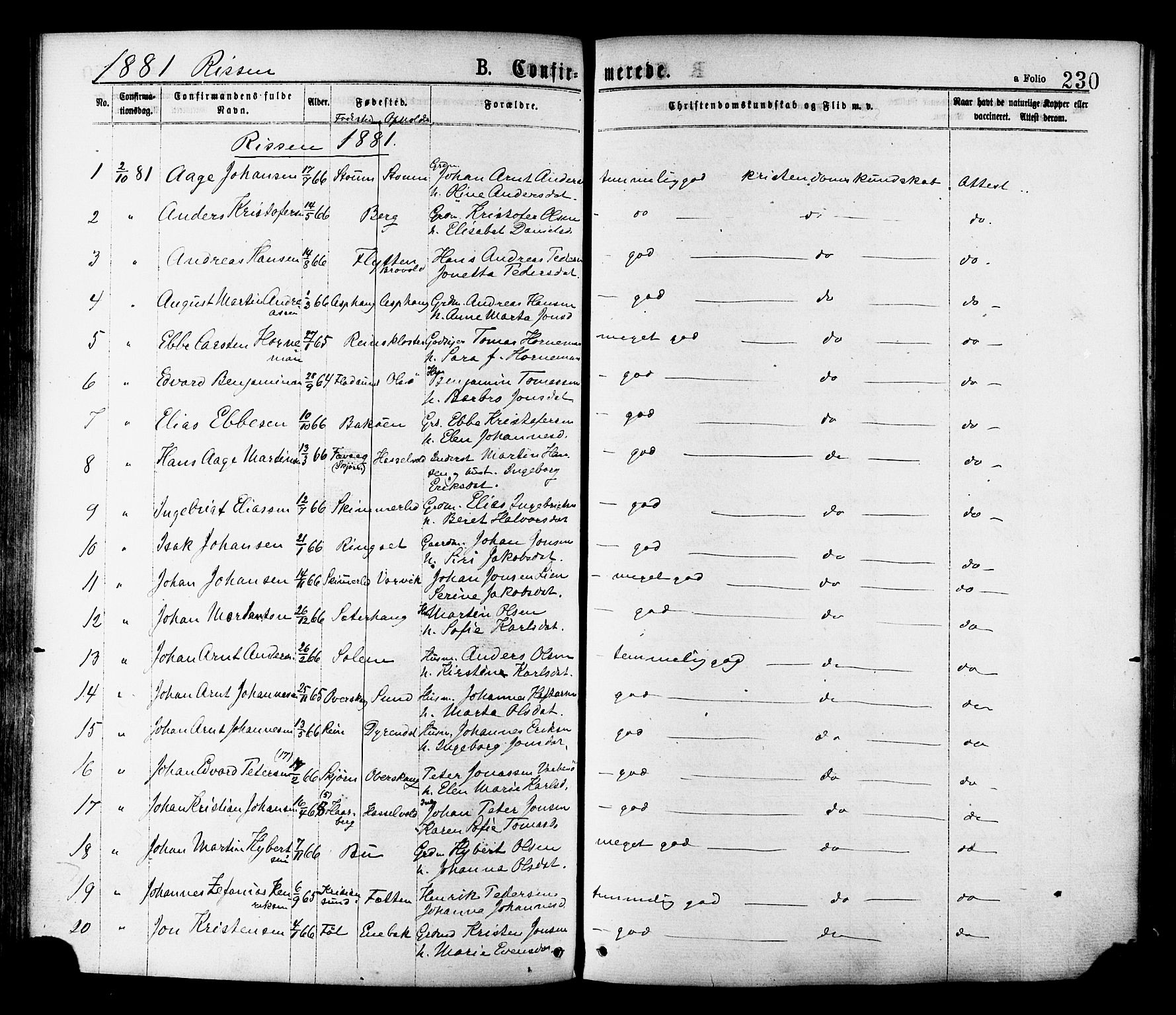 Ministerialprotokoller, klokkerbøker og fødselsregistre - Sør-Trøndelag, SAT/A-1456/646/L0613: Parish register (official) no. 646A11, 1870-1884, p. 230