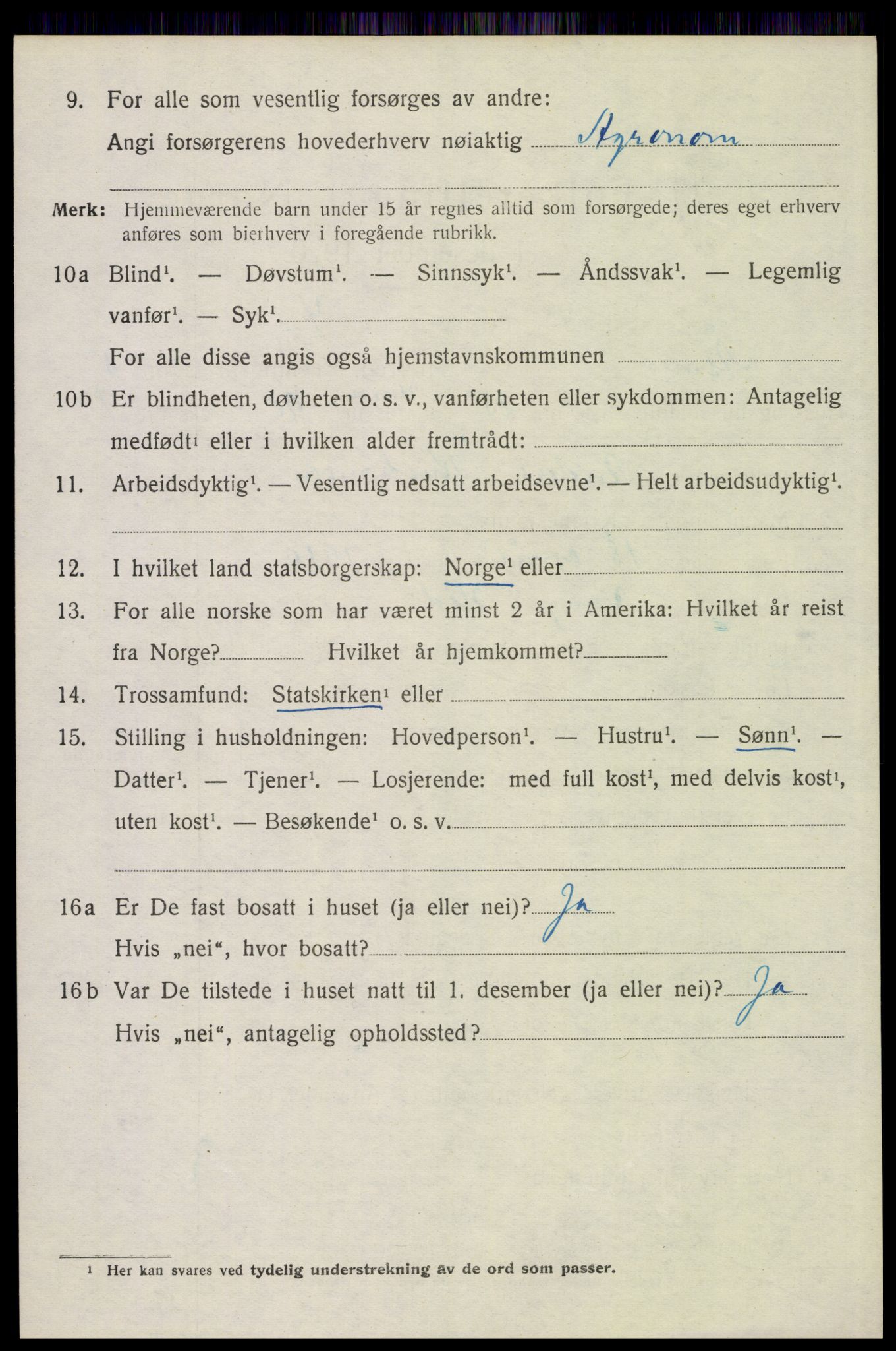 SAH, 1920 census for Åsnes, 1920, p. 6957