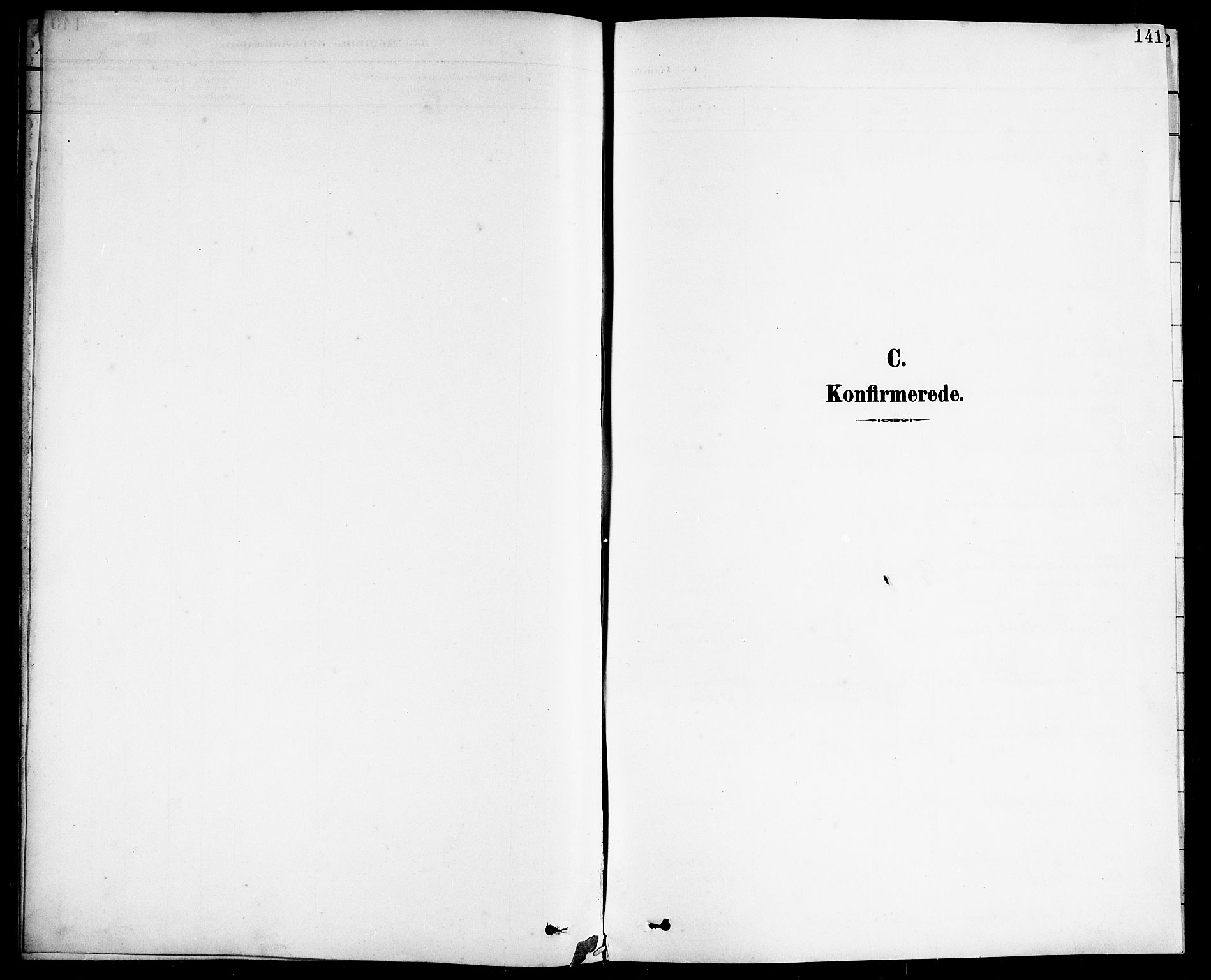 Ministerialprotokoller, klokkerbøker og fødselsregistre - Nordland, SAT/A-1459/838/L0559: Parish register (copy) no. 838C06, 1893-1910, p. 141