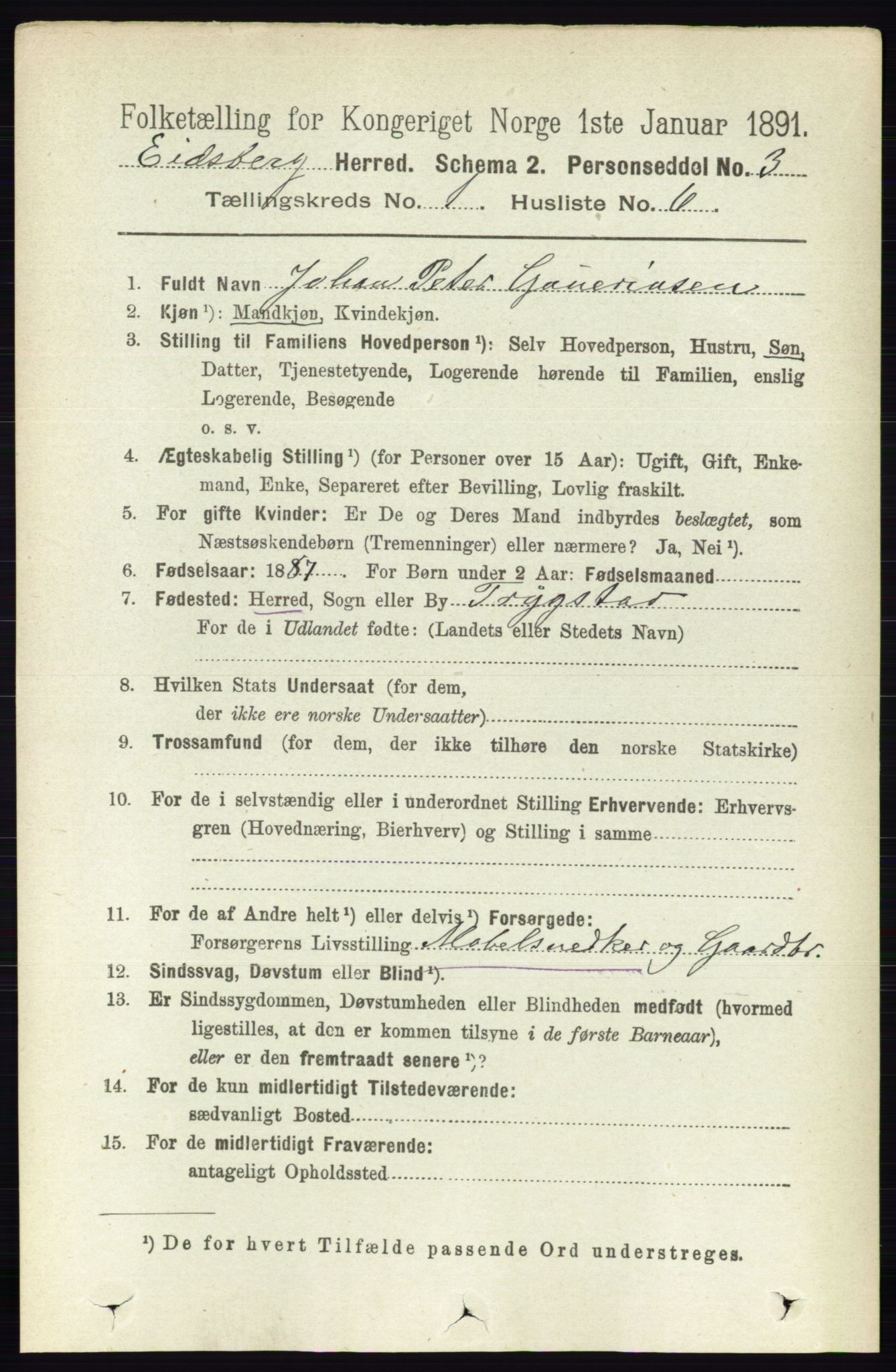 RA, 1891 census for 0125 Eidsberg, 1891, p. 172