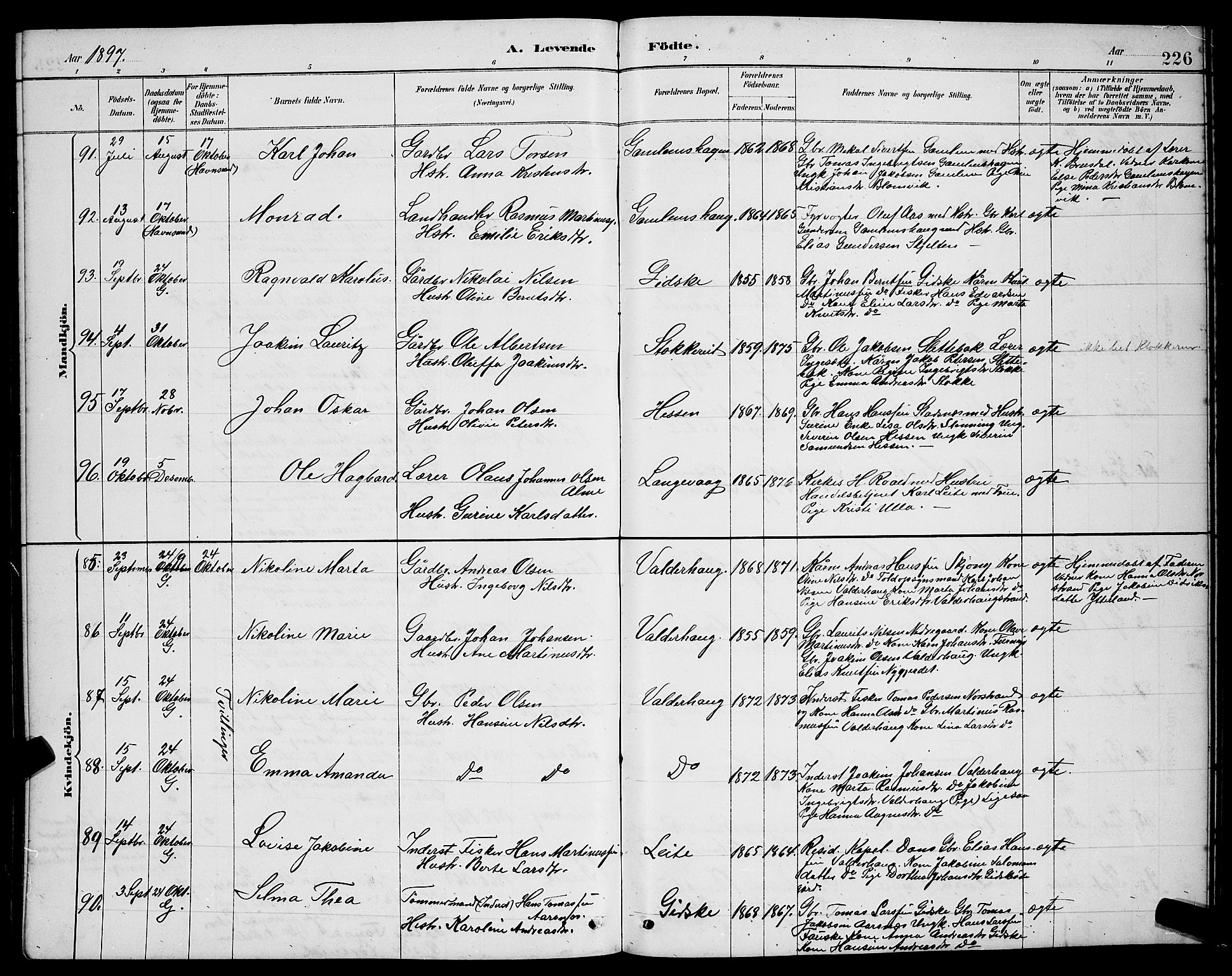 Ministerialprotokoller, klokkerbøker og fødselsregistre - Møre og Romsdal, AV/SAT-A-1454/528/L0431: Parish register (copy) no. 528C12, 1885-1898, p. 226