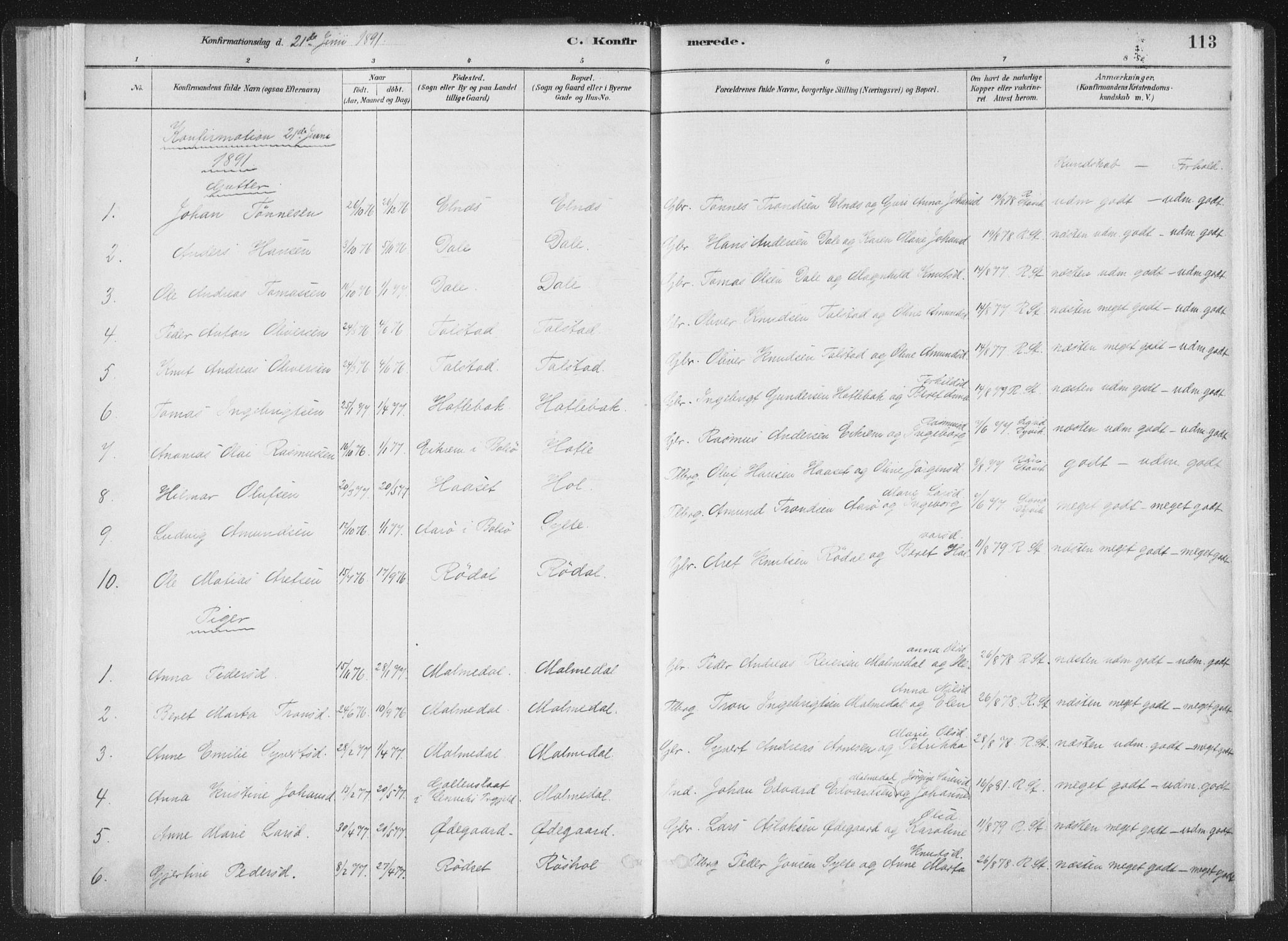 Ministerialprotokoller, klokkerbøker og fødselsregistre - Møre og Romsdal, AV/SAT-A-1454/564/L0740: Parish register (official) no. 564A01, 1880-1899, p. 113