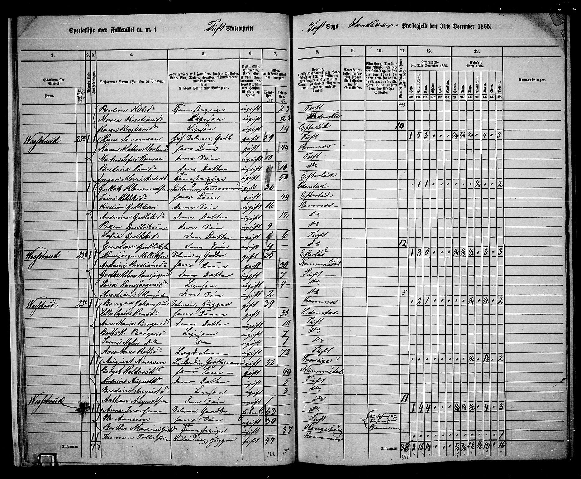 RA, 1865 census for Sandsvær, 1865, p. 20