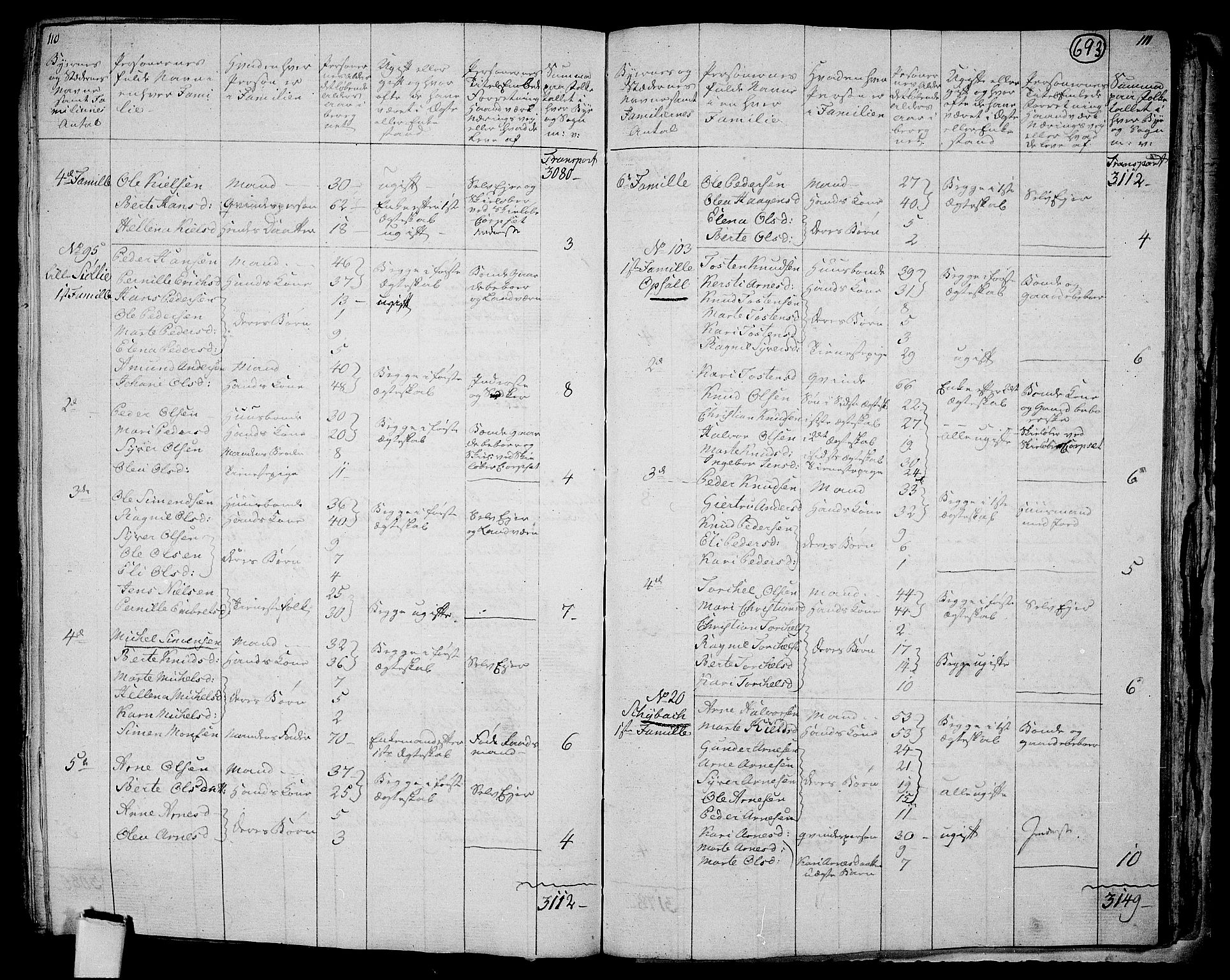 RA, 1801 census for 0424P Hof, 1801, p. 692b-693a