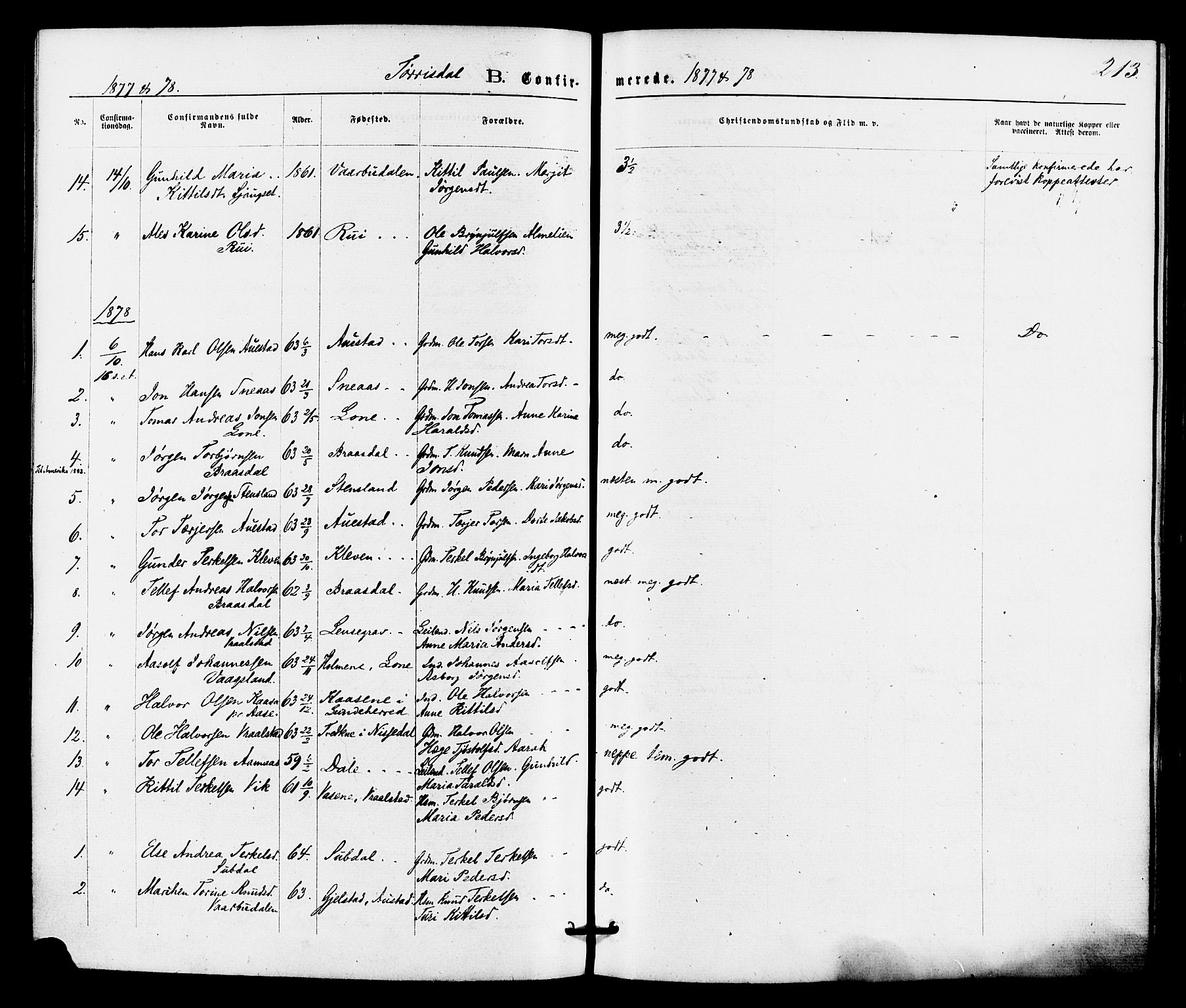 Drangedal kirkebøker, SAKO/A-258/F/Fa/L0009: Parish register (official) no. 9 /2, 1872-1884, p. 213