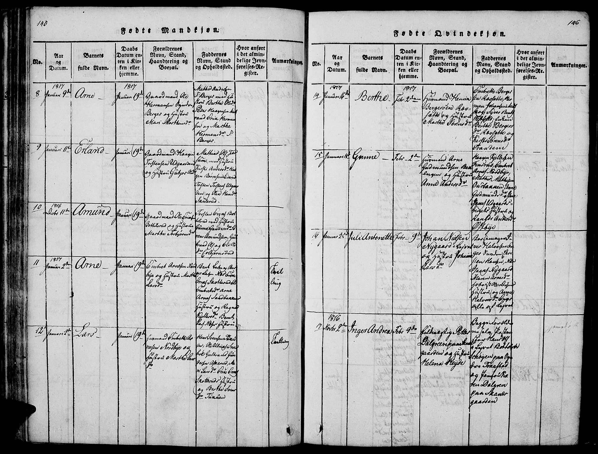 Vinger prestekontor, AV/SAH-PREST-024/H/Ha/Hab/L0001: Parish register (copy) no. 1, 1814-1825, p. 145-146