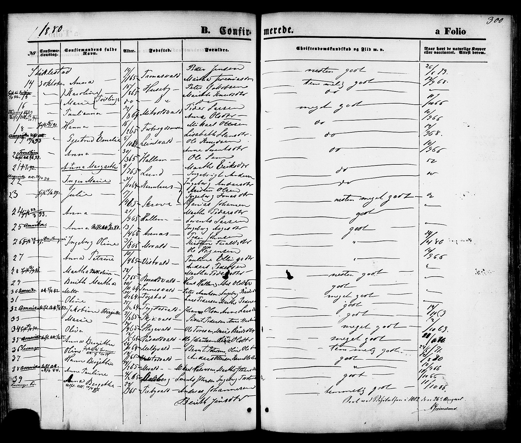 Ministerialprotokoller, klokkerbøker og fødselsregistre - Nord-Trøndelag, AV/SAT-A-1458/723/L0242: Parish register (official) no. 723A11, 1870-1880, p. 300