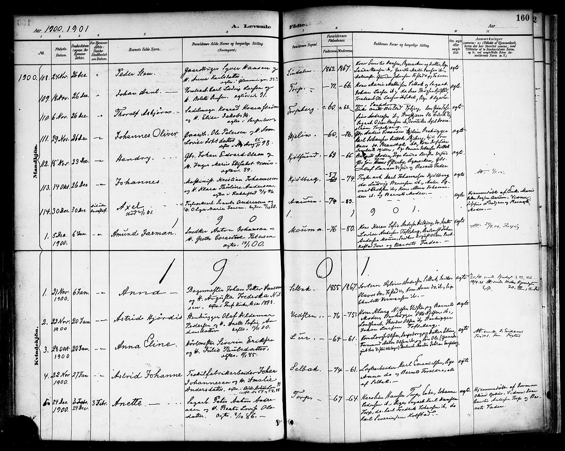 Borge prestekontor Kirkebøker, SAO/A-10903/F/Fa/L0008: Parish register (official) no. I 8A, 1887-1902, p. 160