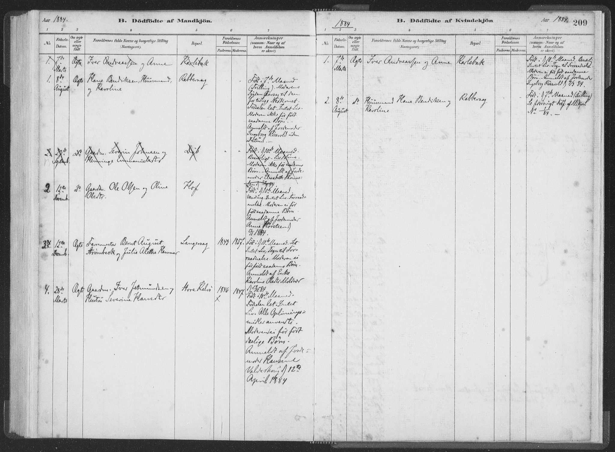 Ministerialprotokoller, klokkerbøker og fødselsregistre - Møre og Romsdal, AV/SAT-A-1454/528/L0401: Parish register (official) no. 528A12I, 1880-1920, p. 209