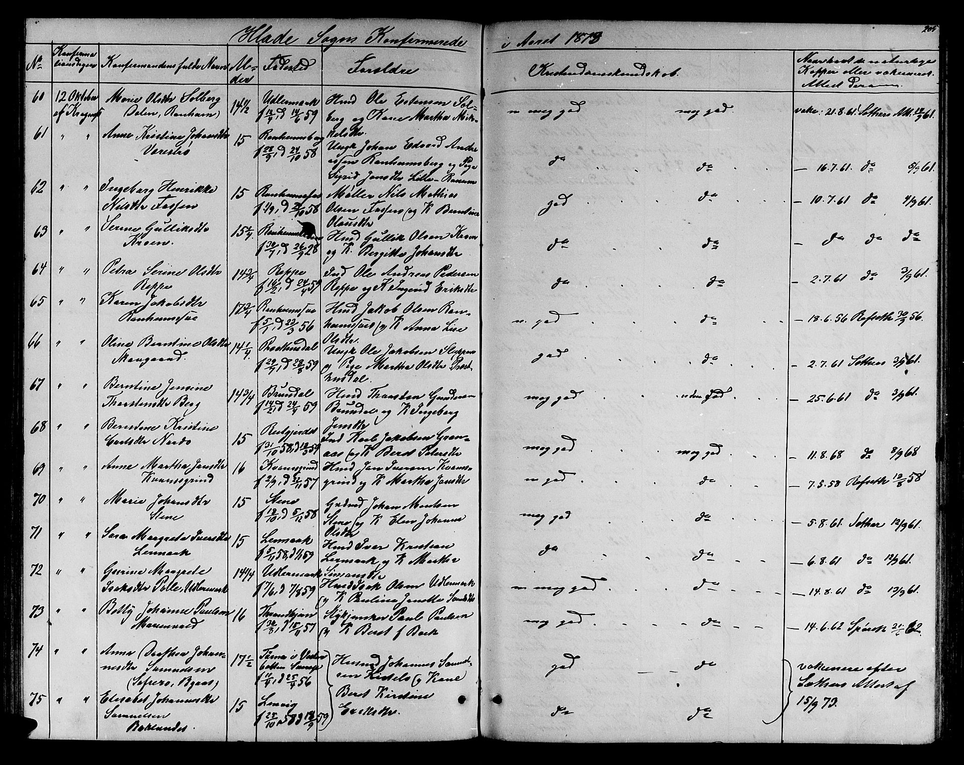 Ministerialprotokoller, klokkerbøker og fødselsregistre - Sør-Trøndelag, SAT/A-1456/606/L0311: Parish register (copy) no. 606C07, 1860-1877, p. 205