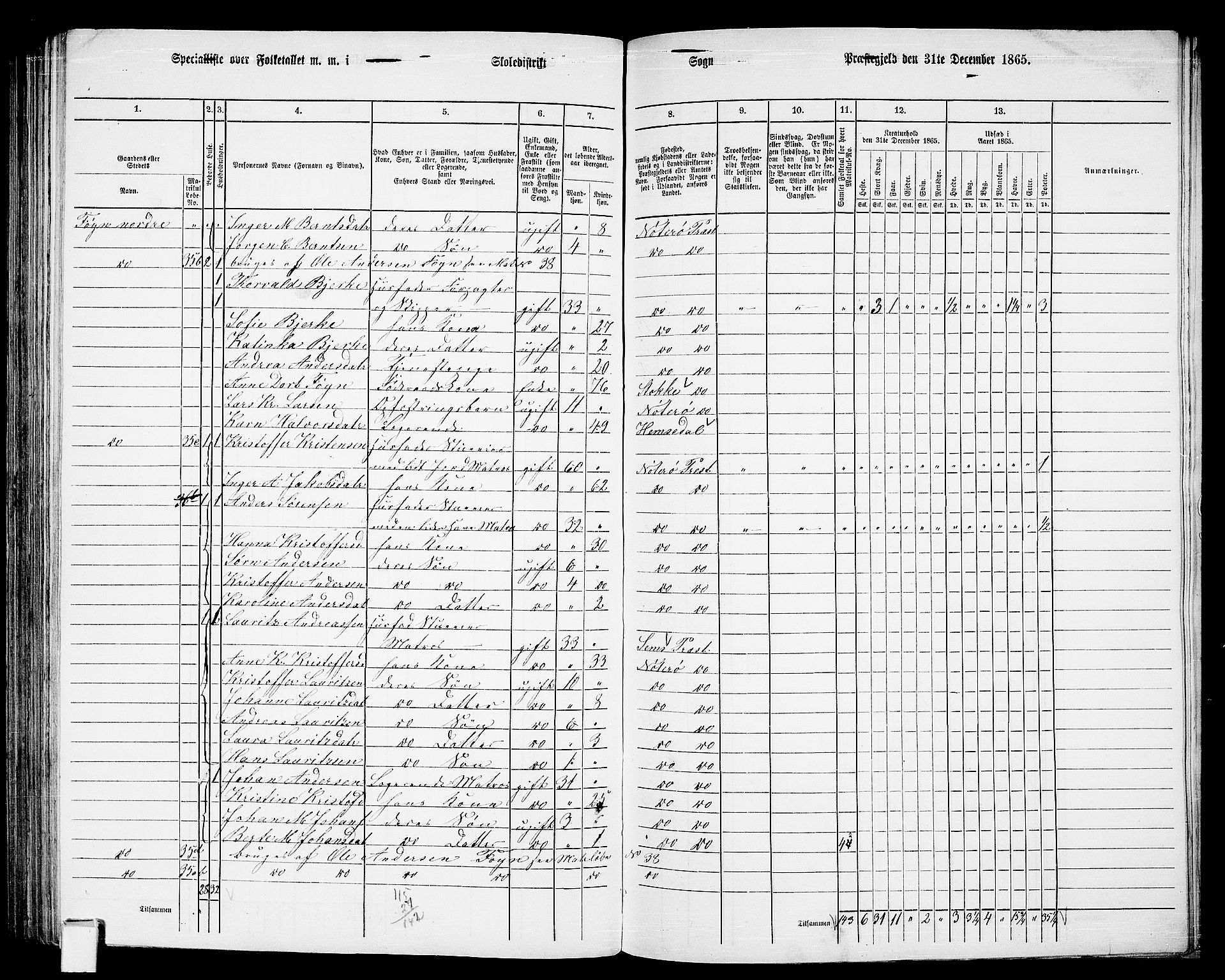 RA, 1865 census for Nøtterøy, 1865, p. 185