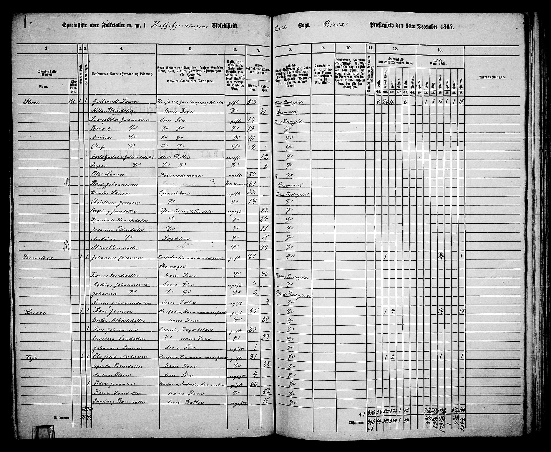 RA, 1865 census for Biri, 1865, p. 101