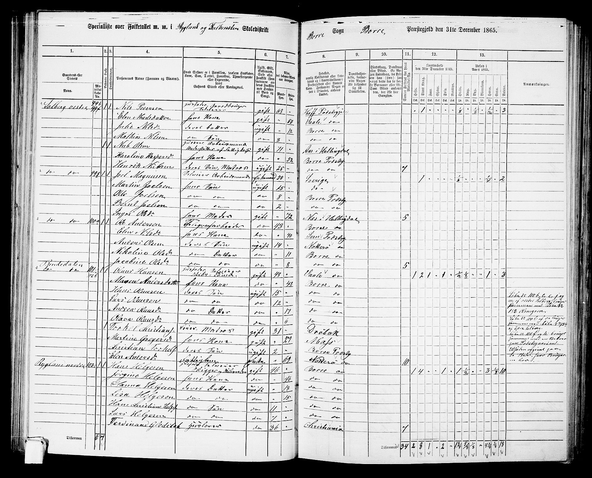 RA, 1865 census for Borre, 1865, p. 113