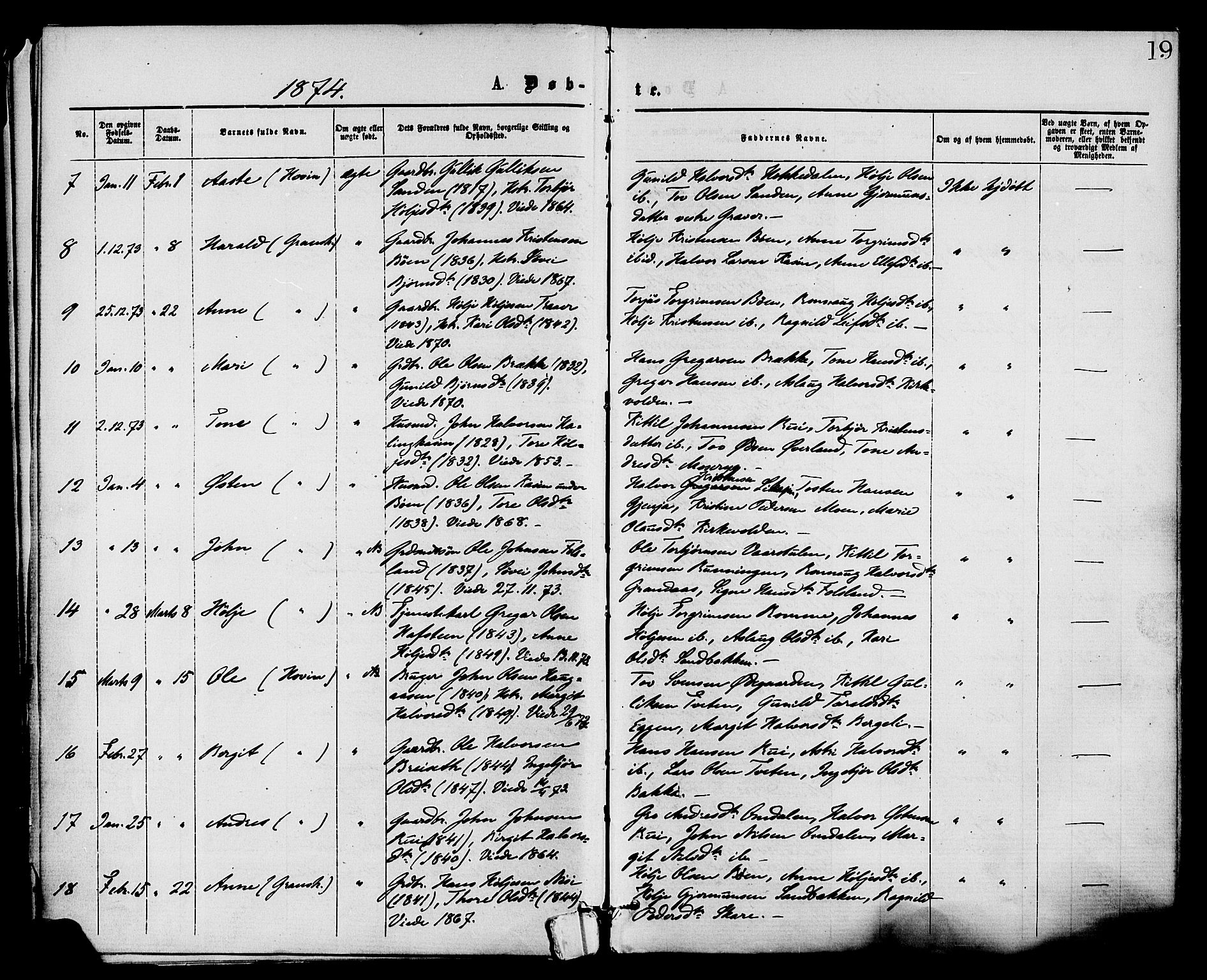 Gransherad kirkebøker, SAKO/A-267/F/Fa/L0004: Parish register (official) no. I 4, 1871-1886, p. 19