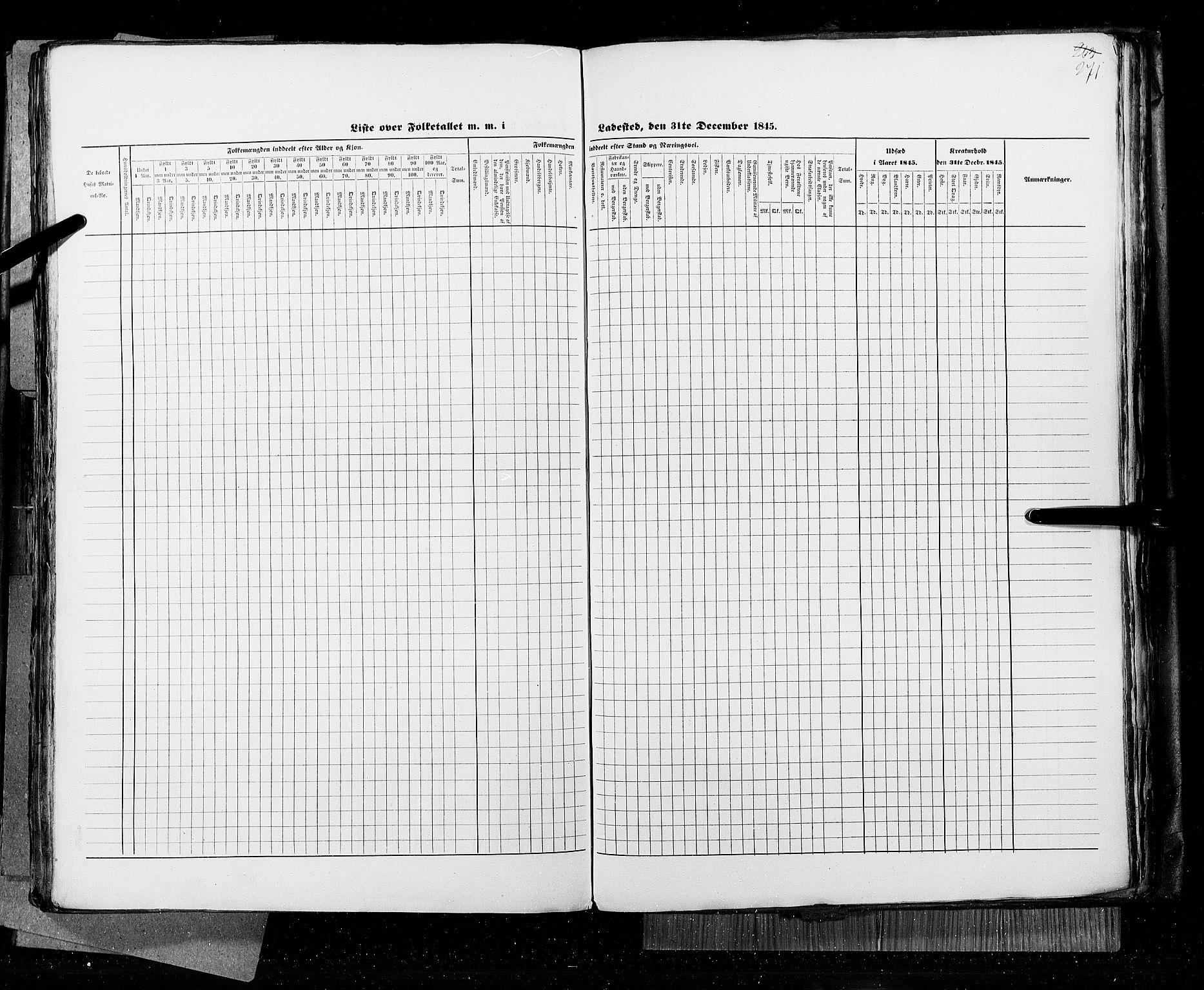 RA, Census 1845, vol. 11: Cities, 1845, p. 271