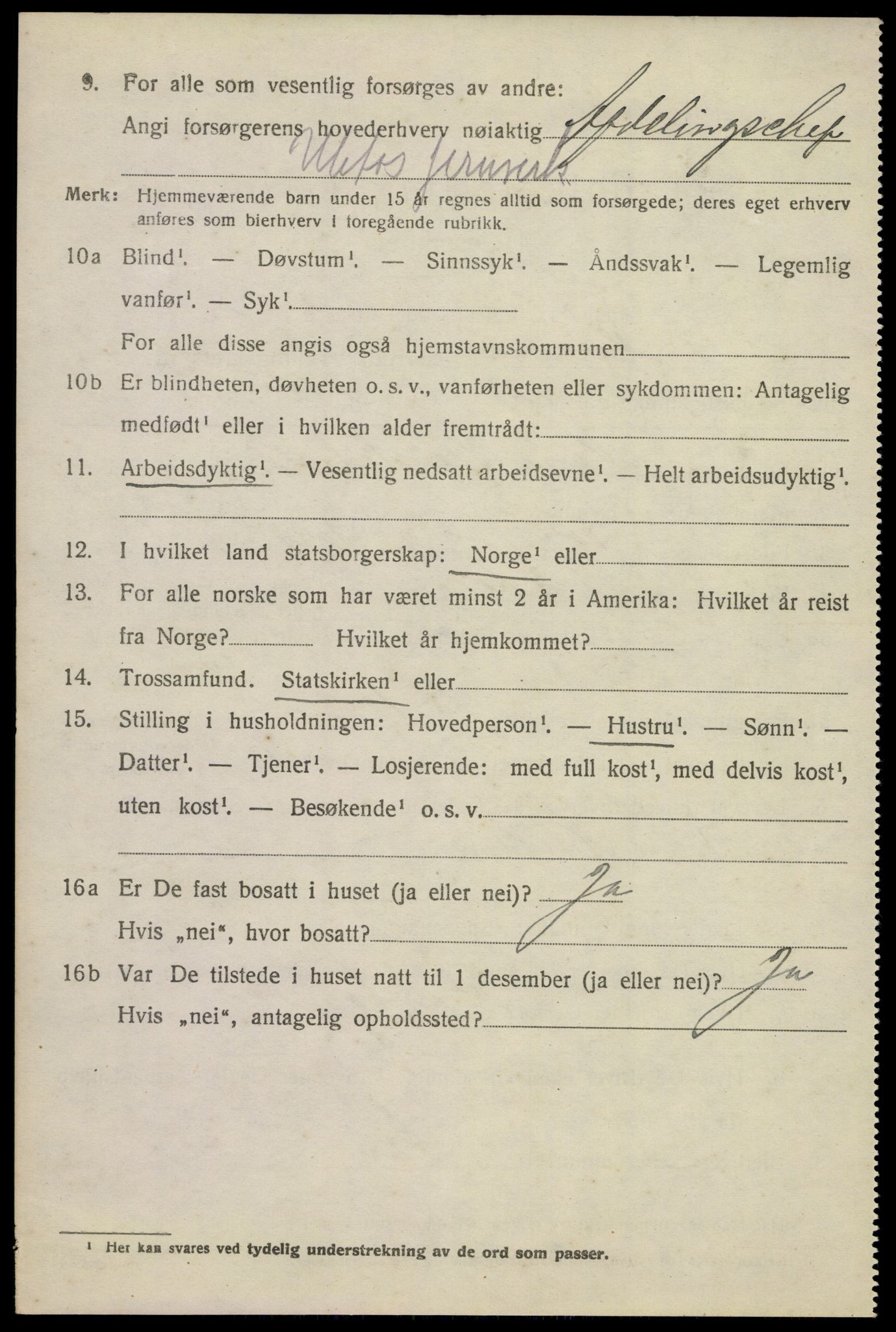 SAKO, 1920 census for Holla, 1920, p. 3982