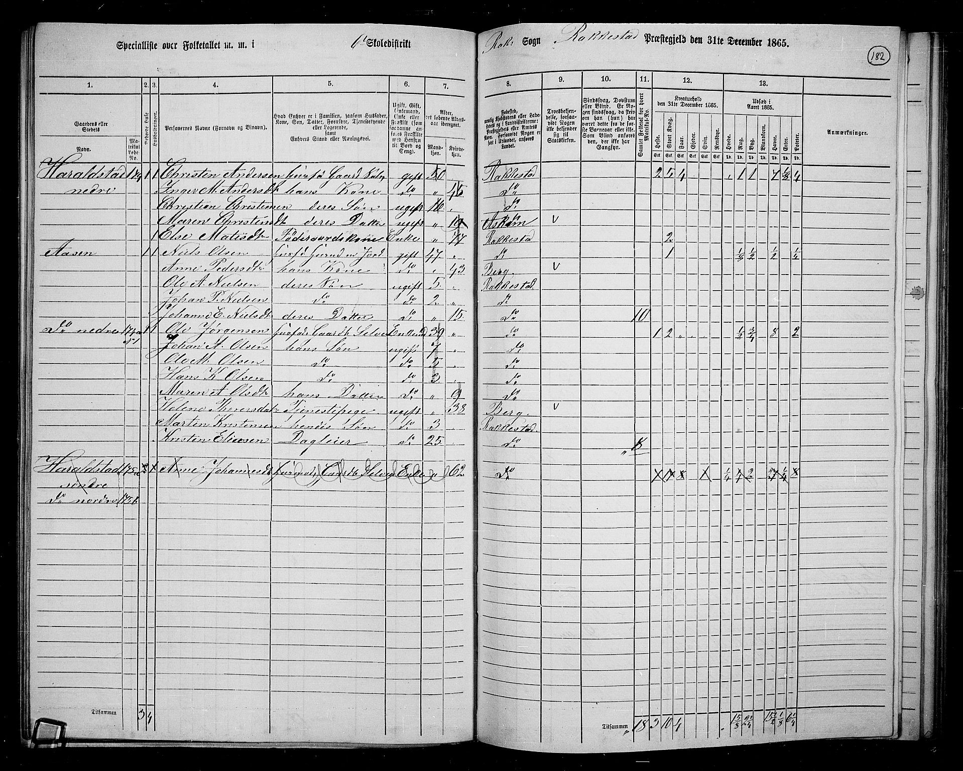 RA, 1865 census for Rakkestad, 1865, p. 174