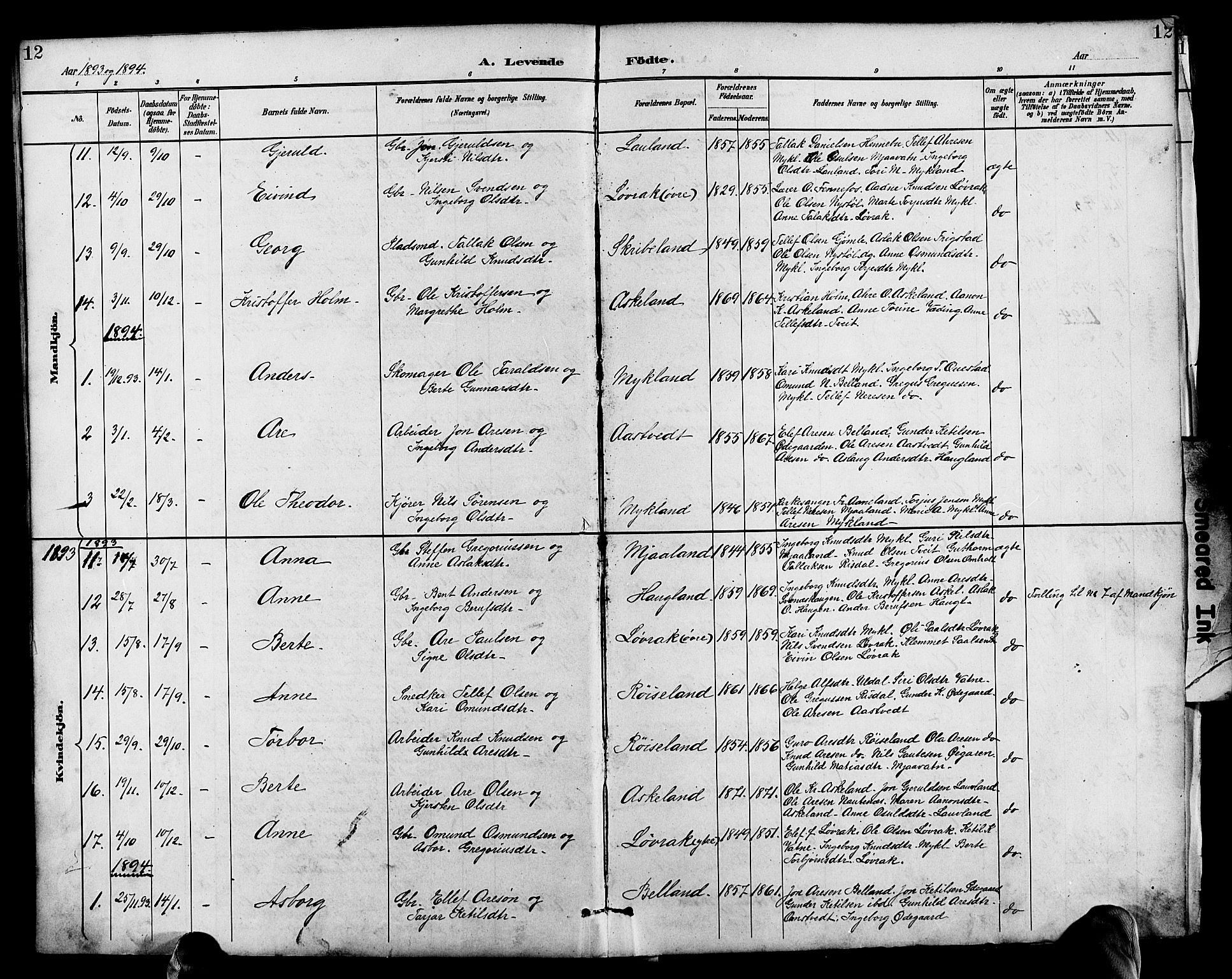 Herefoss sokneprestkontor, AV/SAK-1111-0019/F/Fb/Fbc/L0003: Parish register (copy) no. B 3, 1887-1915, p. 12