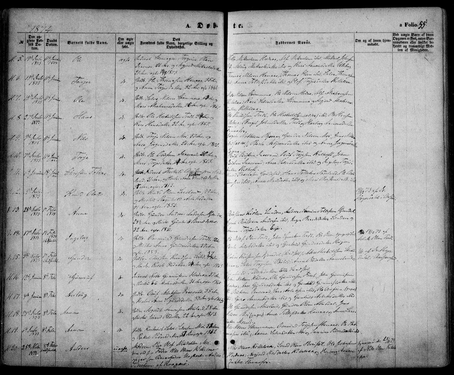 Evje sokneprestkontor, SAK/1111-0008/F/Fa/Faa/L0006: Parish register (official) no. A 6, 1866-1884, p. 55