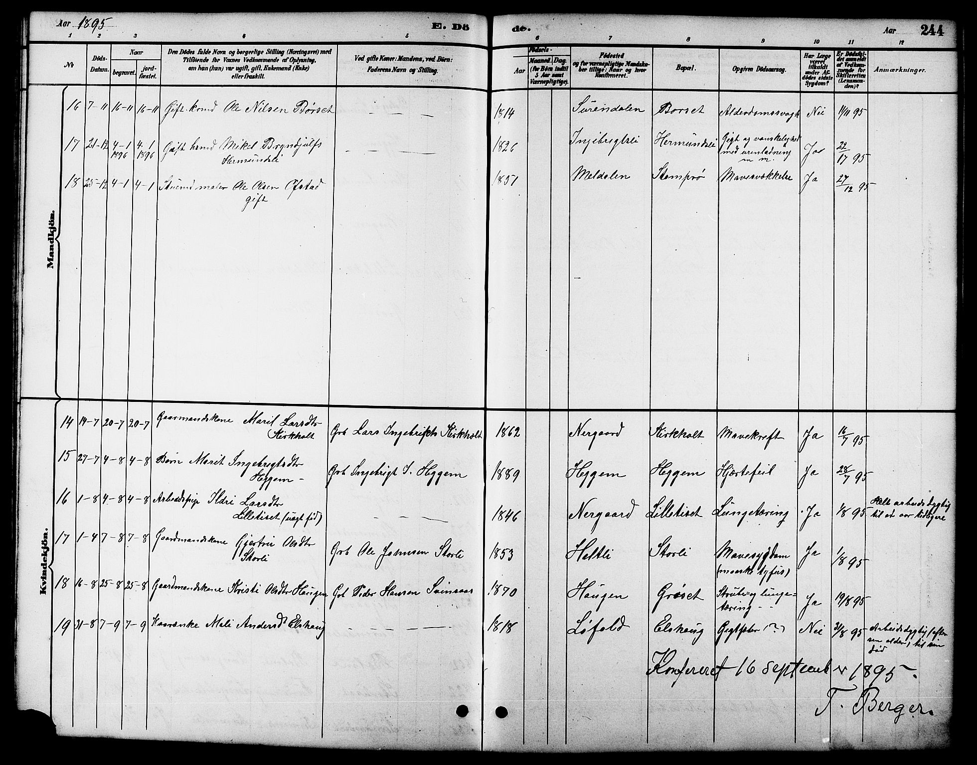 Ministerialprotokoller, klokkerbøker og fødselsregistre - Møre og Romsdal, AV/SAT-A-1454/598/L1078: Parish register (copy) no. 598C03, 1892-1909, p. 244