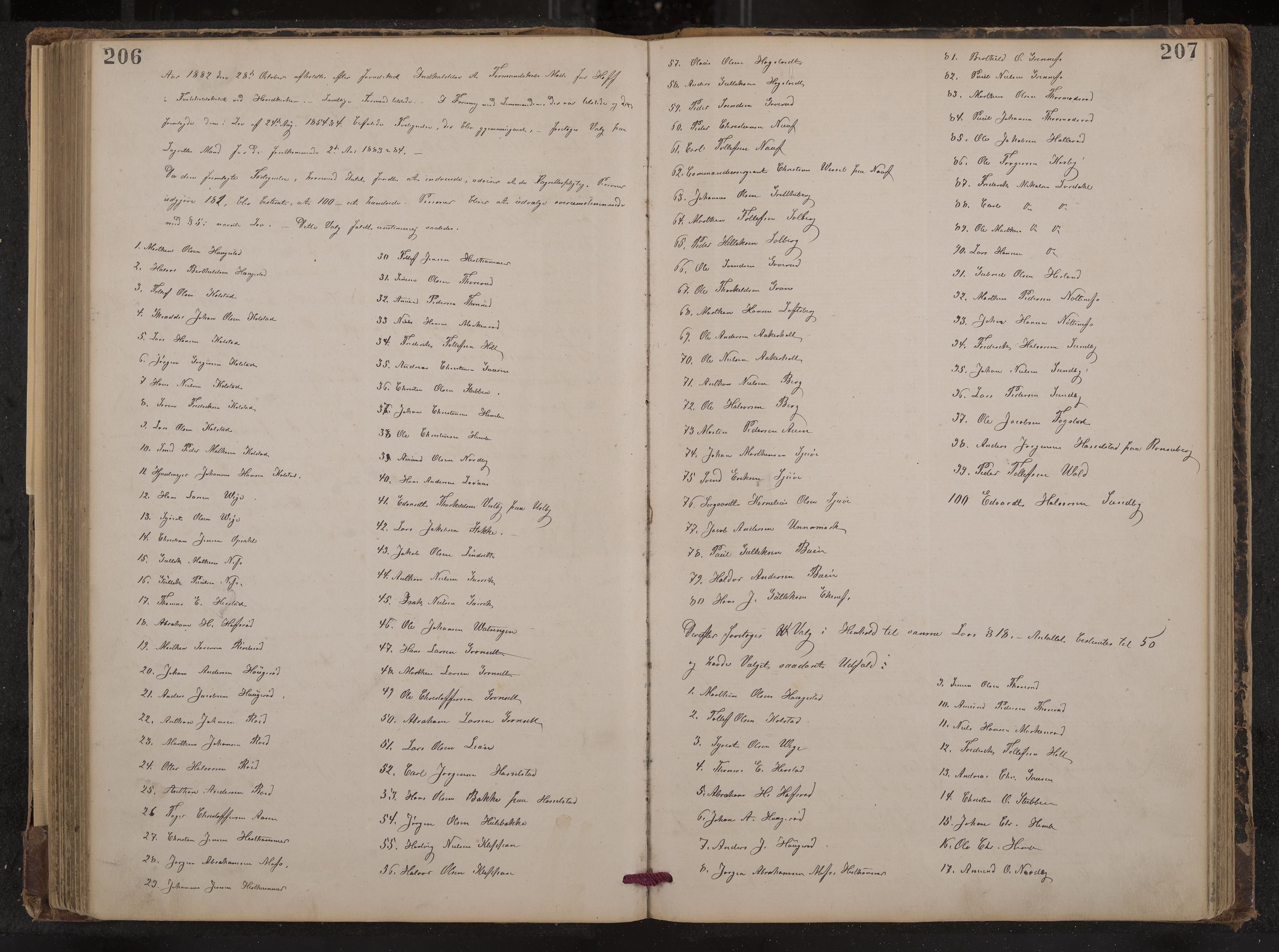 Hof formannskap og sentraladministrasjon, IKAK/0714021-1/A/Aa/L0003: Møtebok med register, 1874-1888, p. 206-207