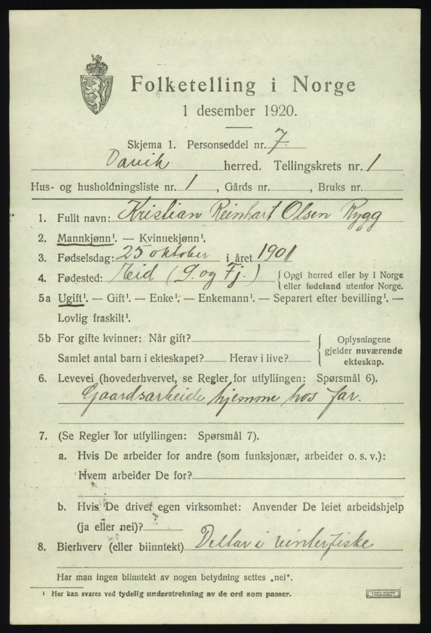 SAB, 1920 census for Davik, 1920, p. 1205