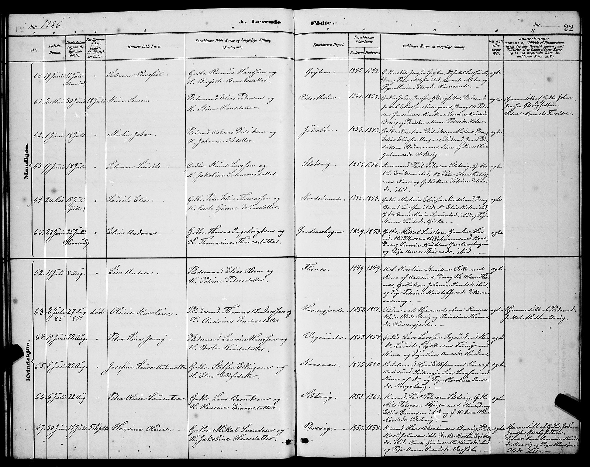 Ministerialprotokoller, klokkerbøker og fødselsregistre - Møre og Romsdal, AV/SAT-A-1454/528/L0431: Parish register (copy) no. 528C12, 1885-1898, p. 22