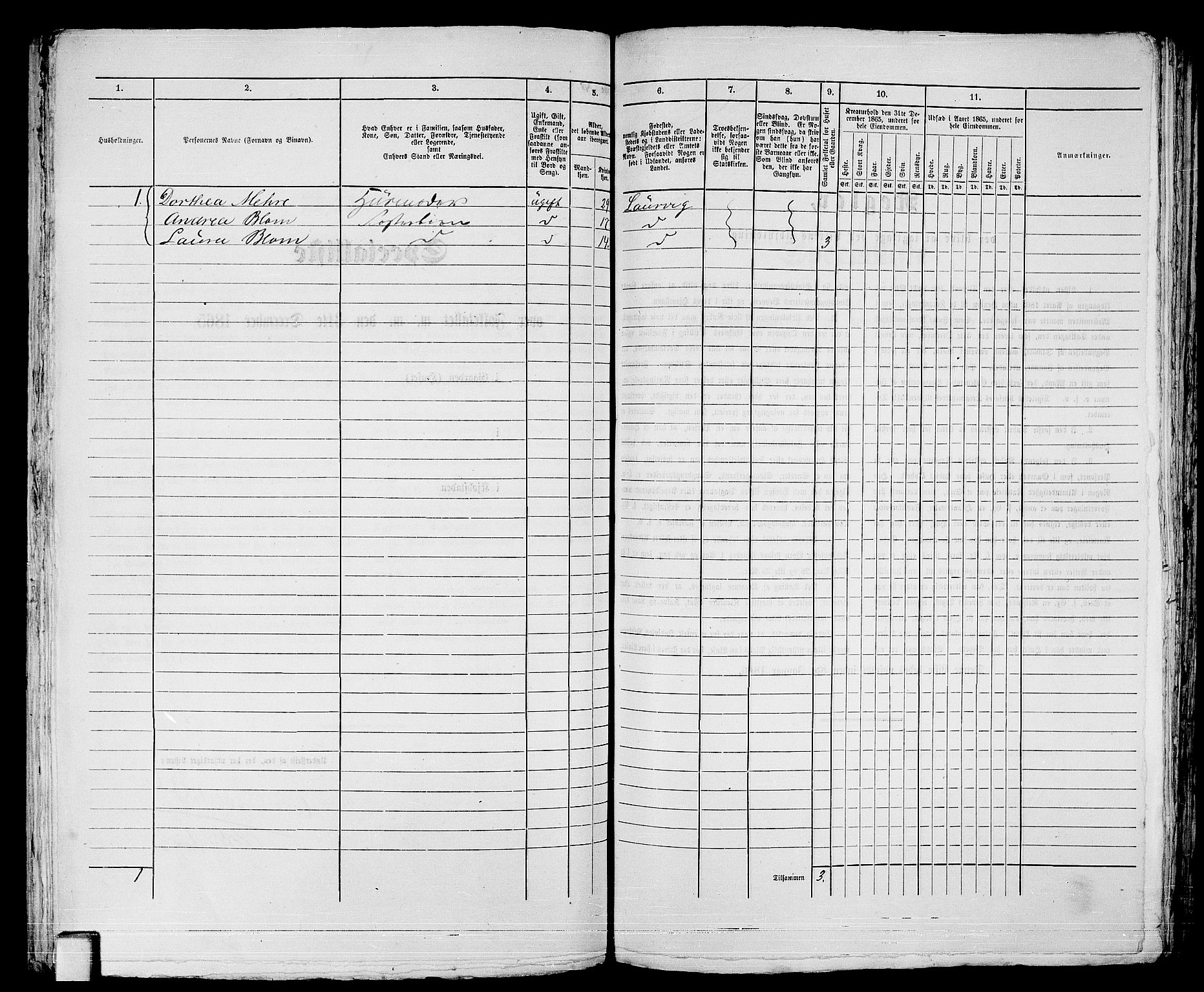 RA, 1865 census for Larvik, 1865, p. 176