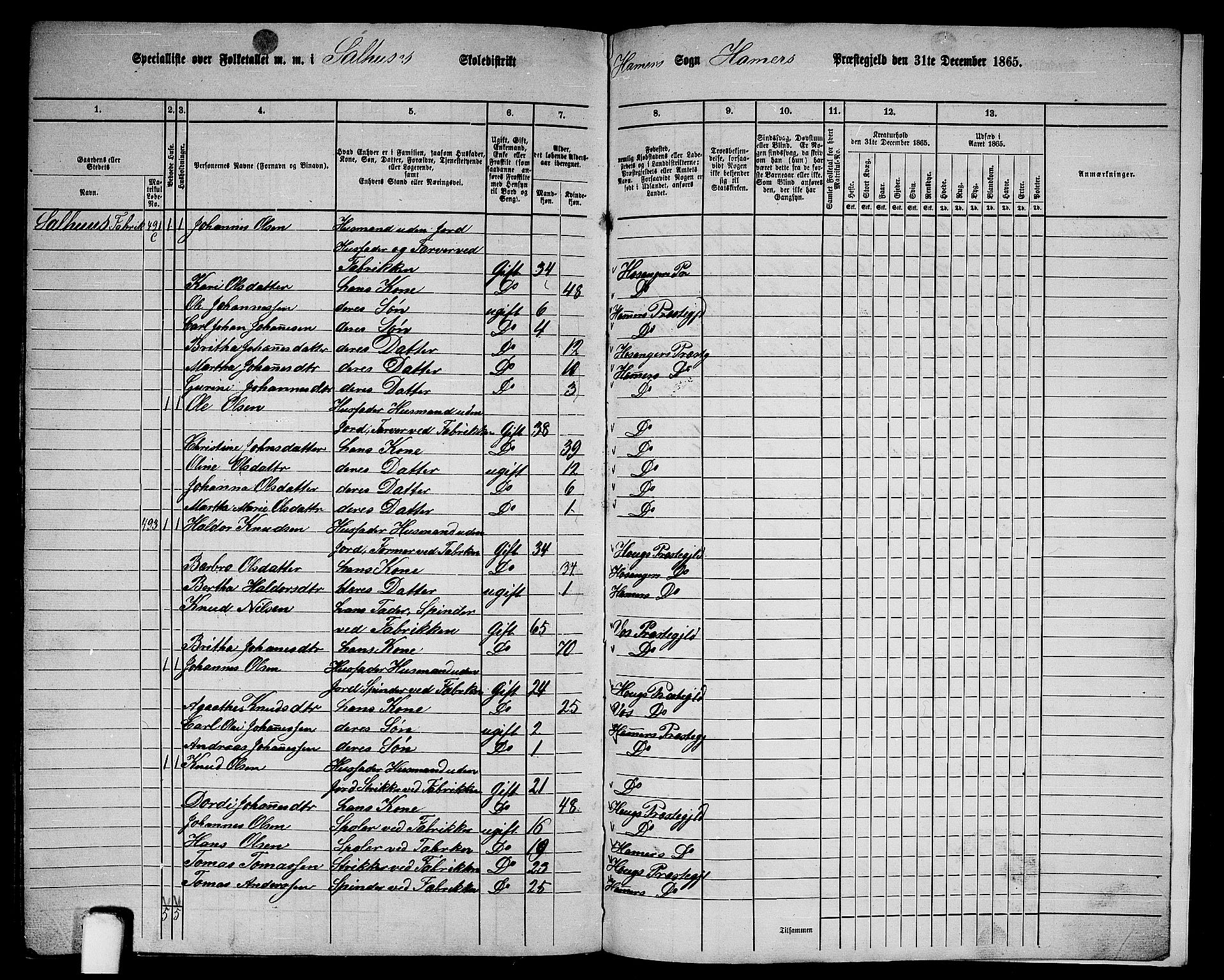 RA, 1865 census for Hamre, 1865, p. 223