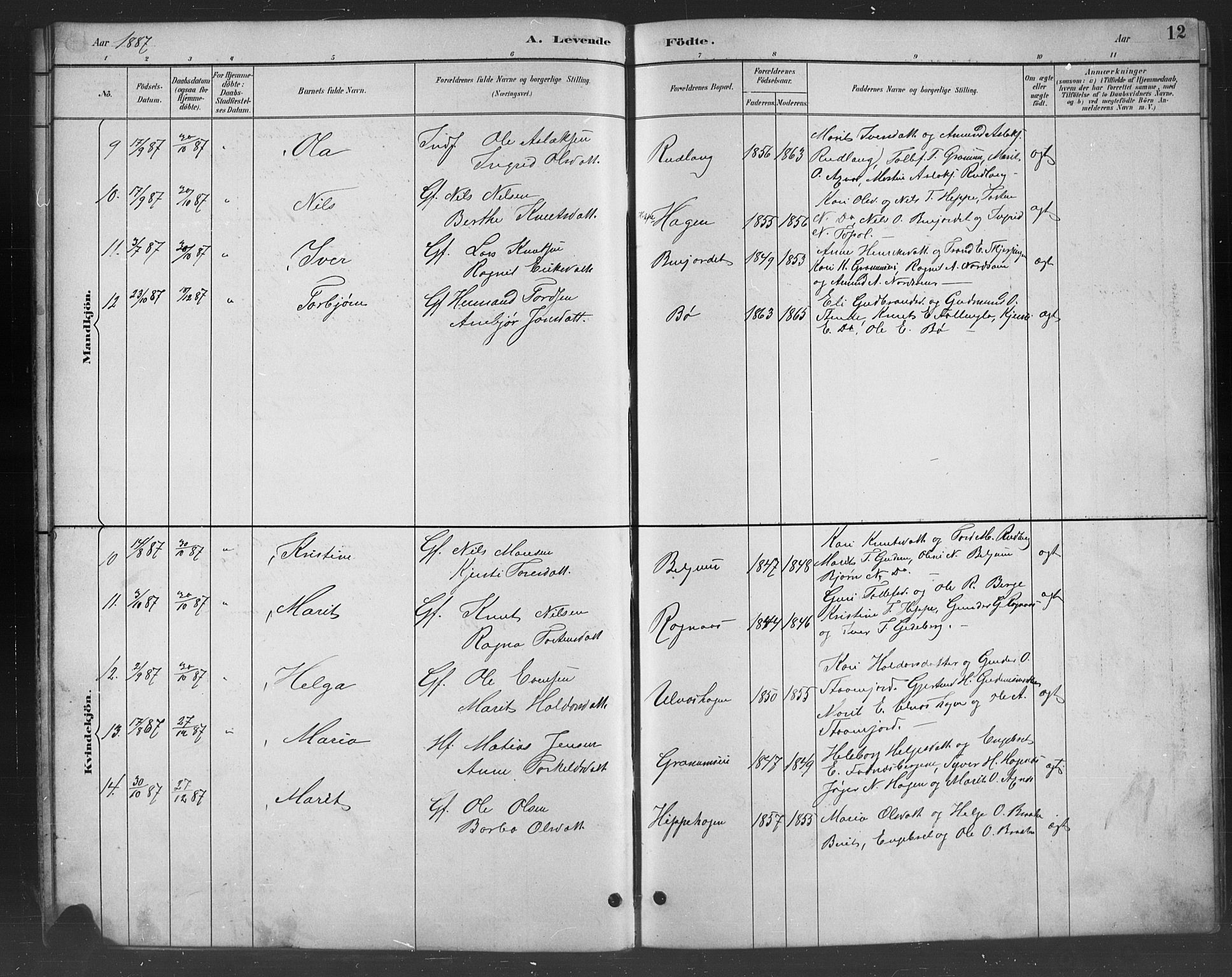 Nord-Aurdal prestekontor, SAH/PREST-132/H/Ha/Hab/L0008: Parish register (copy) no. 8, 1883-1916, p. 12