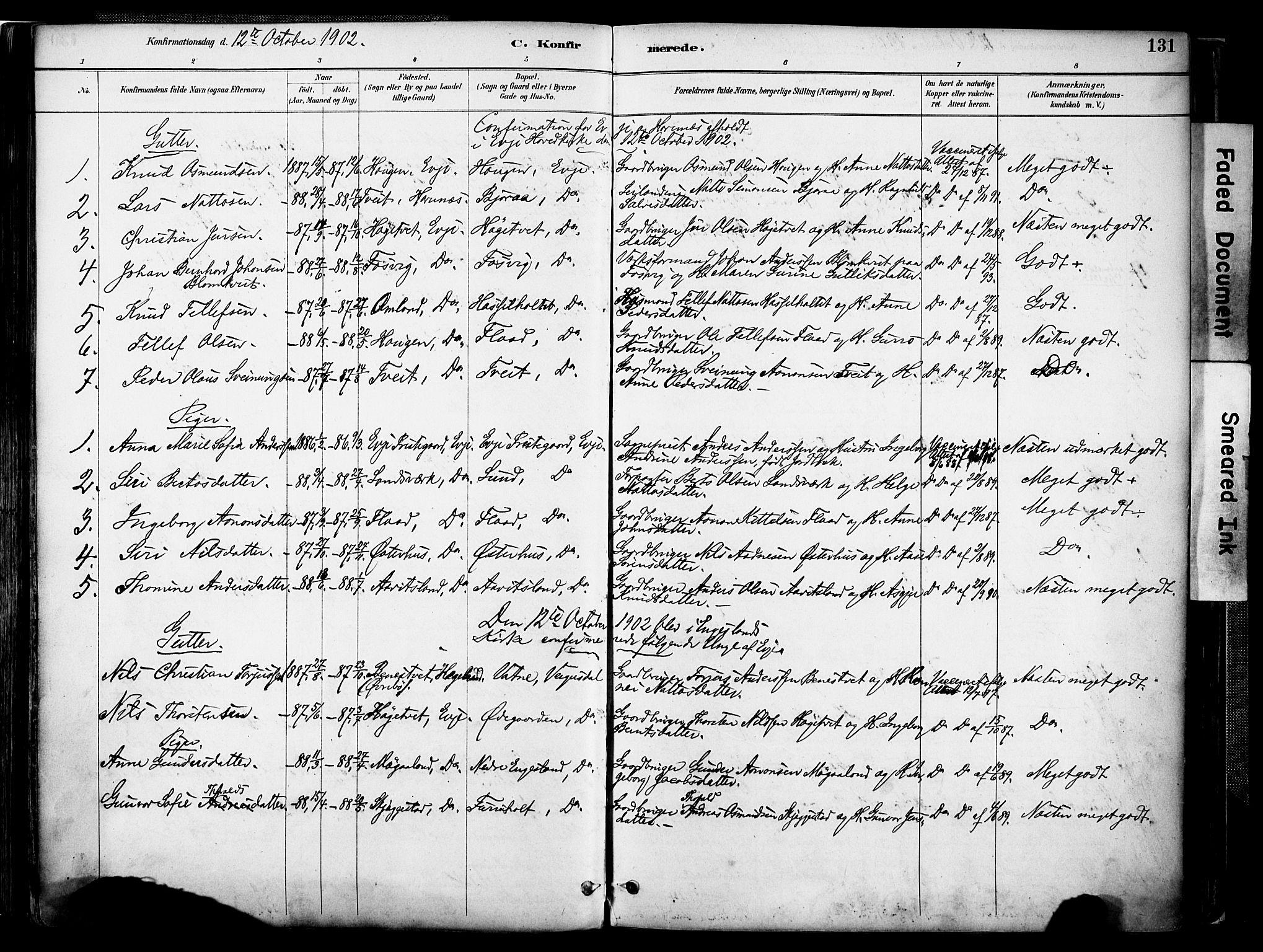 Evje sokneprestkontor, AV/SAK-1111-0008/F/Fa/Faa/L0007: Parish register (official) no. A 7, 1884-1909, p. 131