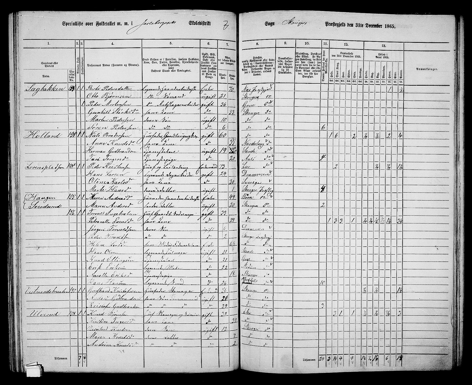 RA, 1865 census for Skoger, 1865, p. 95