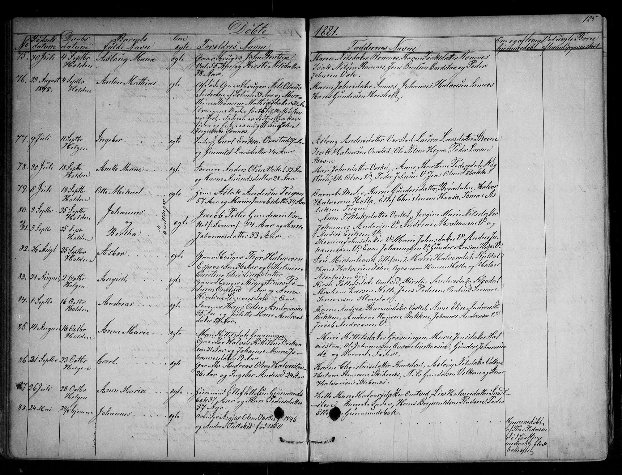 Holla kirkebøker, AV/SAKO-A-272/G/Ga/L0004: Parish register (copy) no. I 4, 1867-1890, p. 125