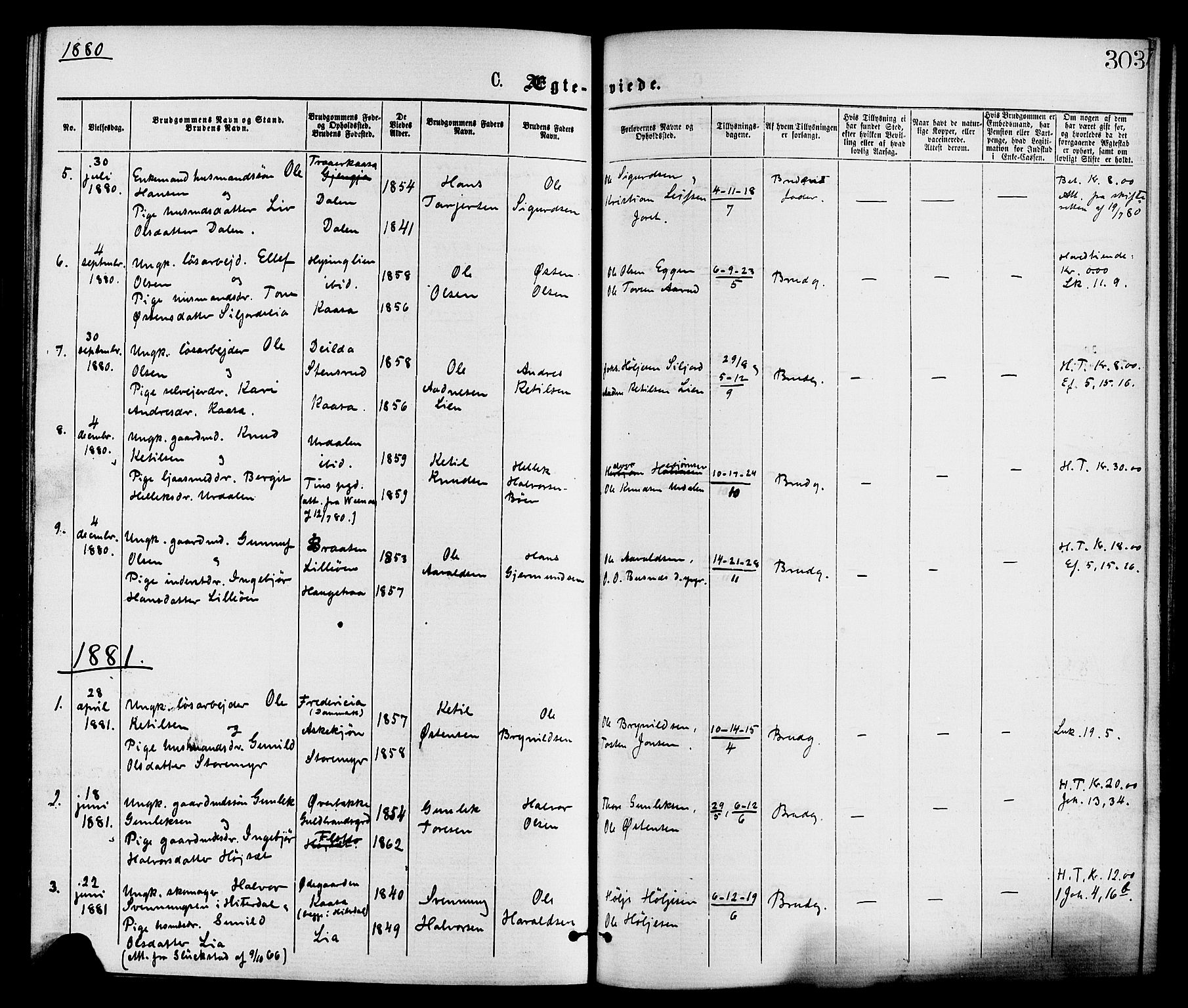 Gransherad kirkebøker, SAKO/A-267/F/Fa/L0004: Parish register (official) no. I 4, 1871-1886, p. 303