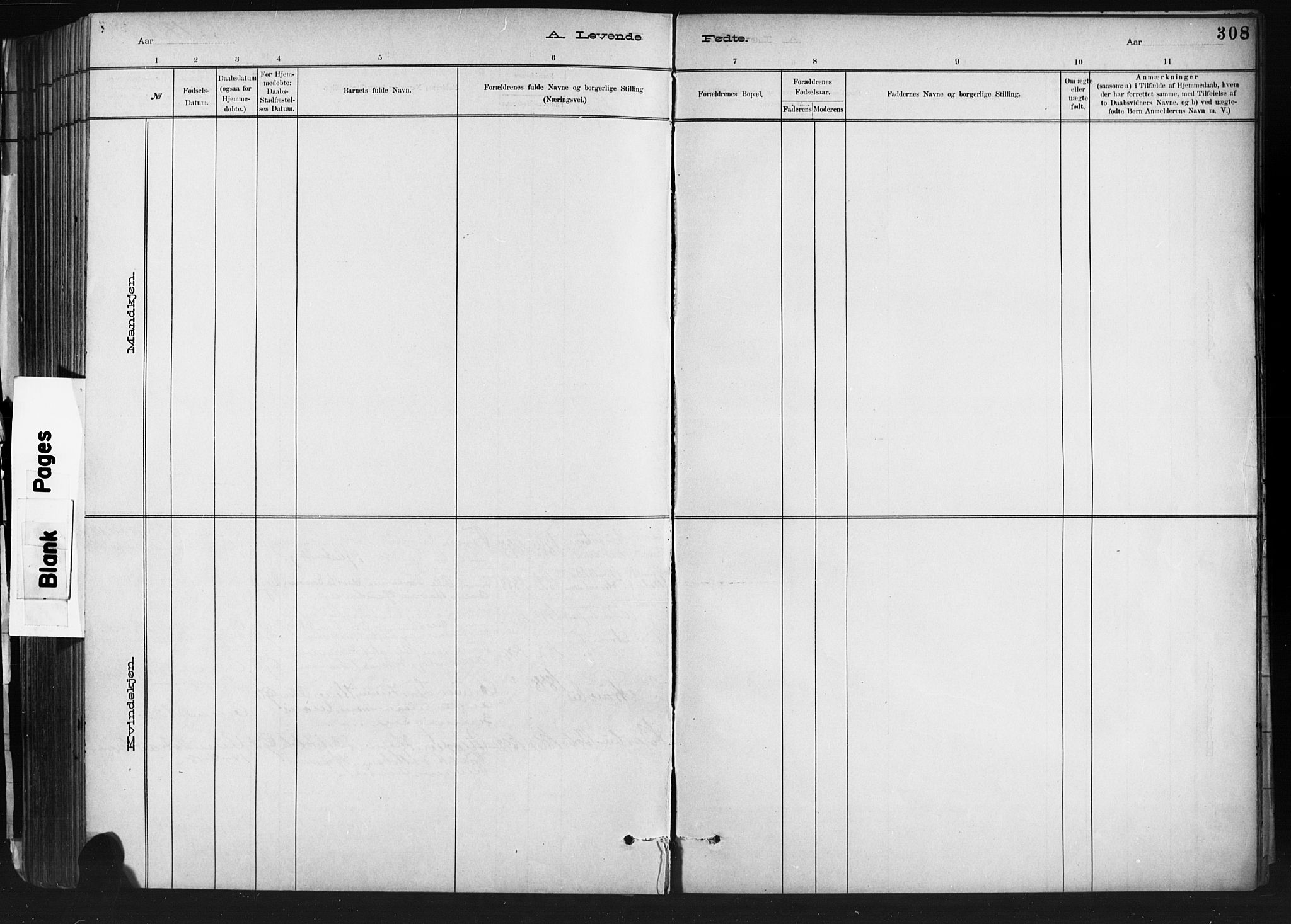 Barbu sokneprestkontor, SAK/1111-0003/F/Fb/L0002: Parish register (copy) no. B 2, 1890-1922, p. 308