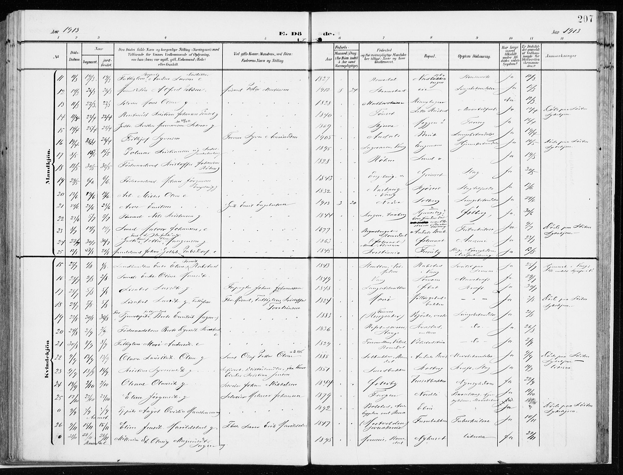 Løten prestekontor, AV/SAH-PREST-022/K/Ka/L0011: Parish register (official) no. 11, 1908-1917, p. 207