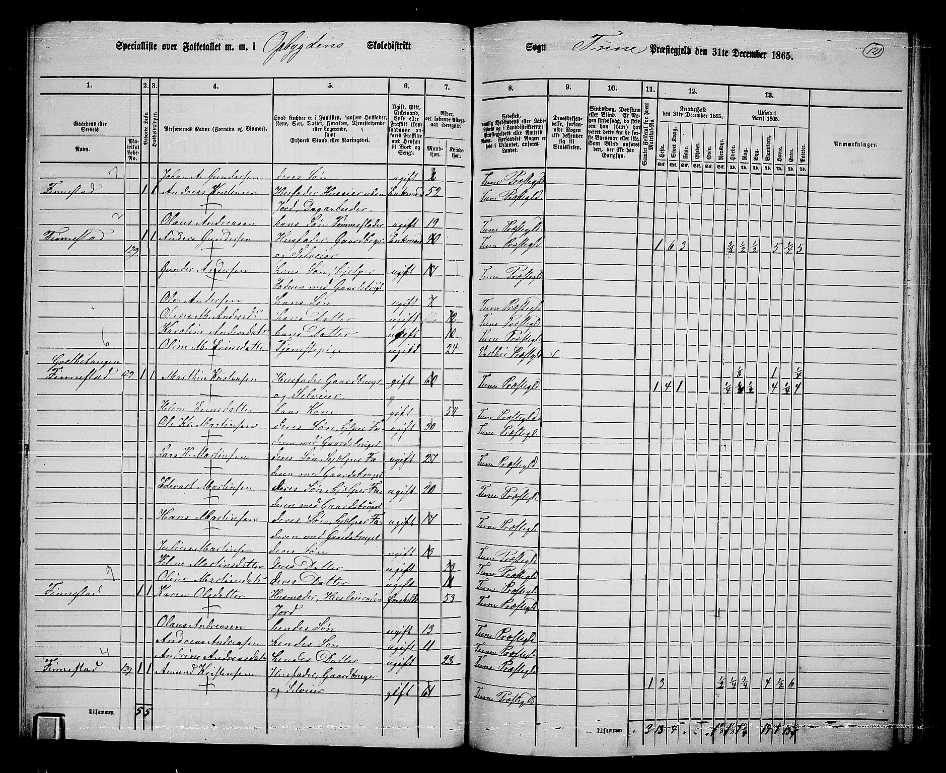 RA, 1865 census for Tune, 1865, p. 203