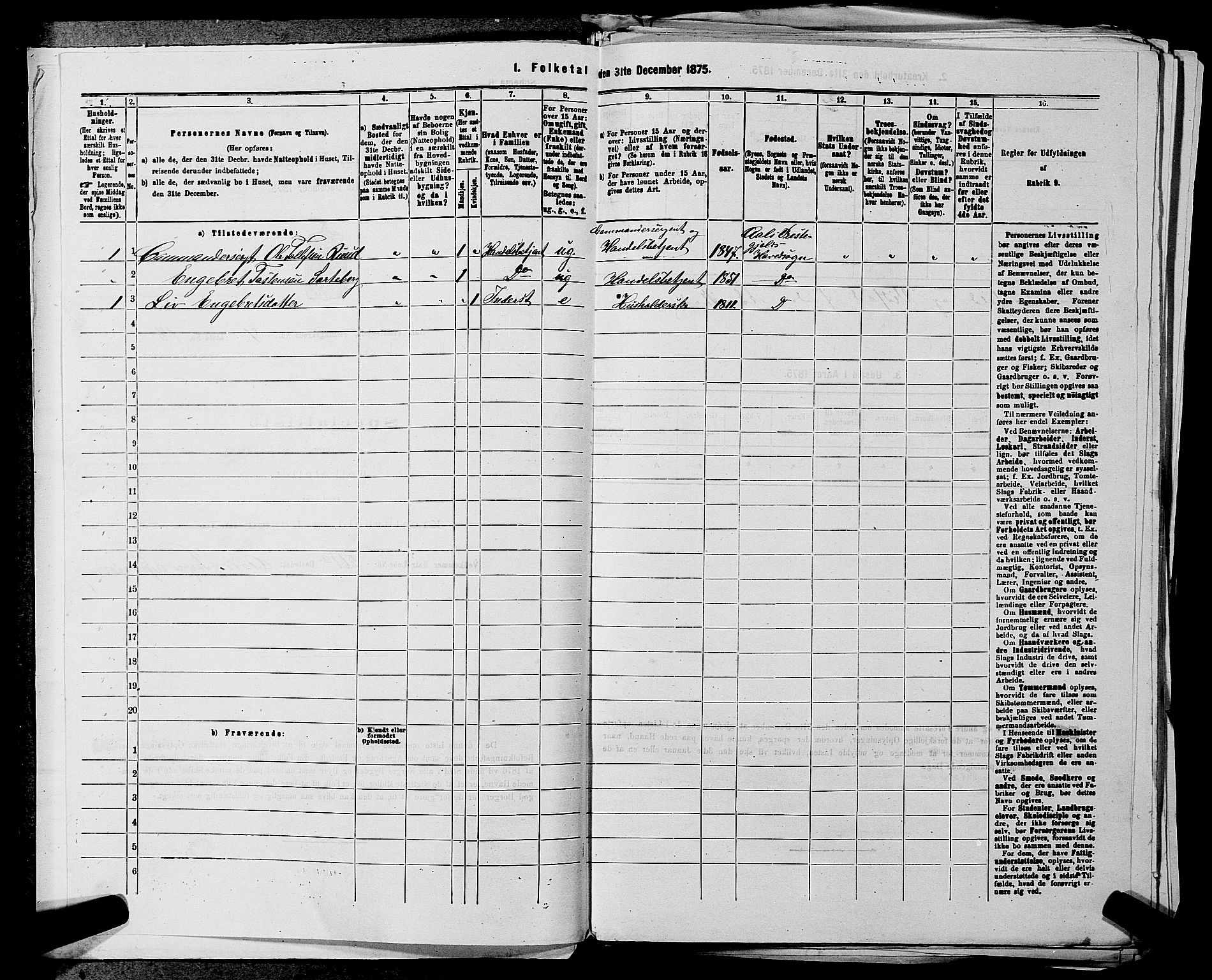 SAKO, 1875 census for 0619P Ål, 1875, p. 871