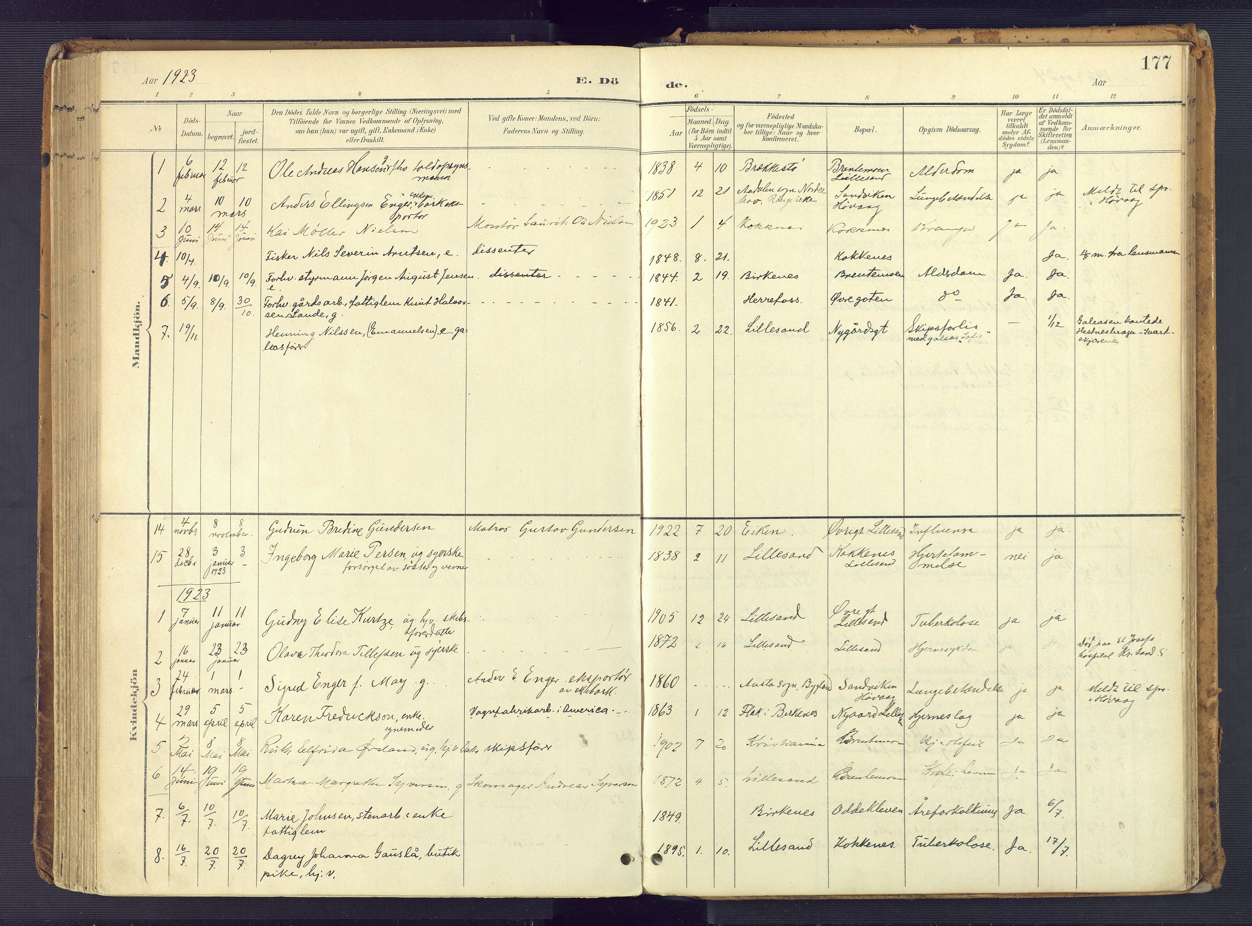 Vestre Moland sokneprestkontor, AV/SAK-1111-0046/F/Fa/Faa/L0002: Parish register (official) no. A 2, 1900-1926, p. 177