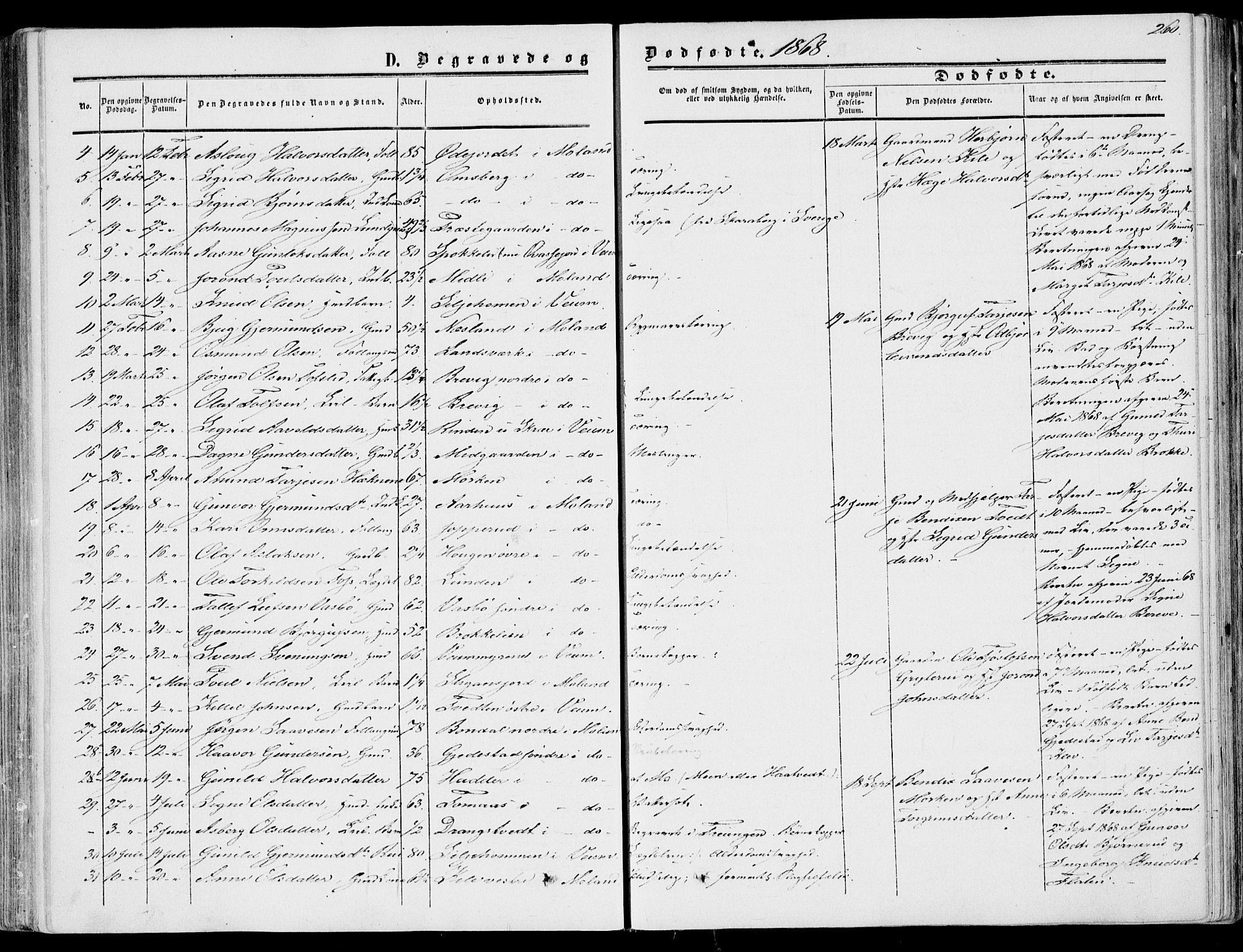 Fyresdal kirkebøker, SAKO/A-263/F/Fa/L0005: Parish register (official) no. I 5, 1855-1871, p. 260