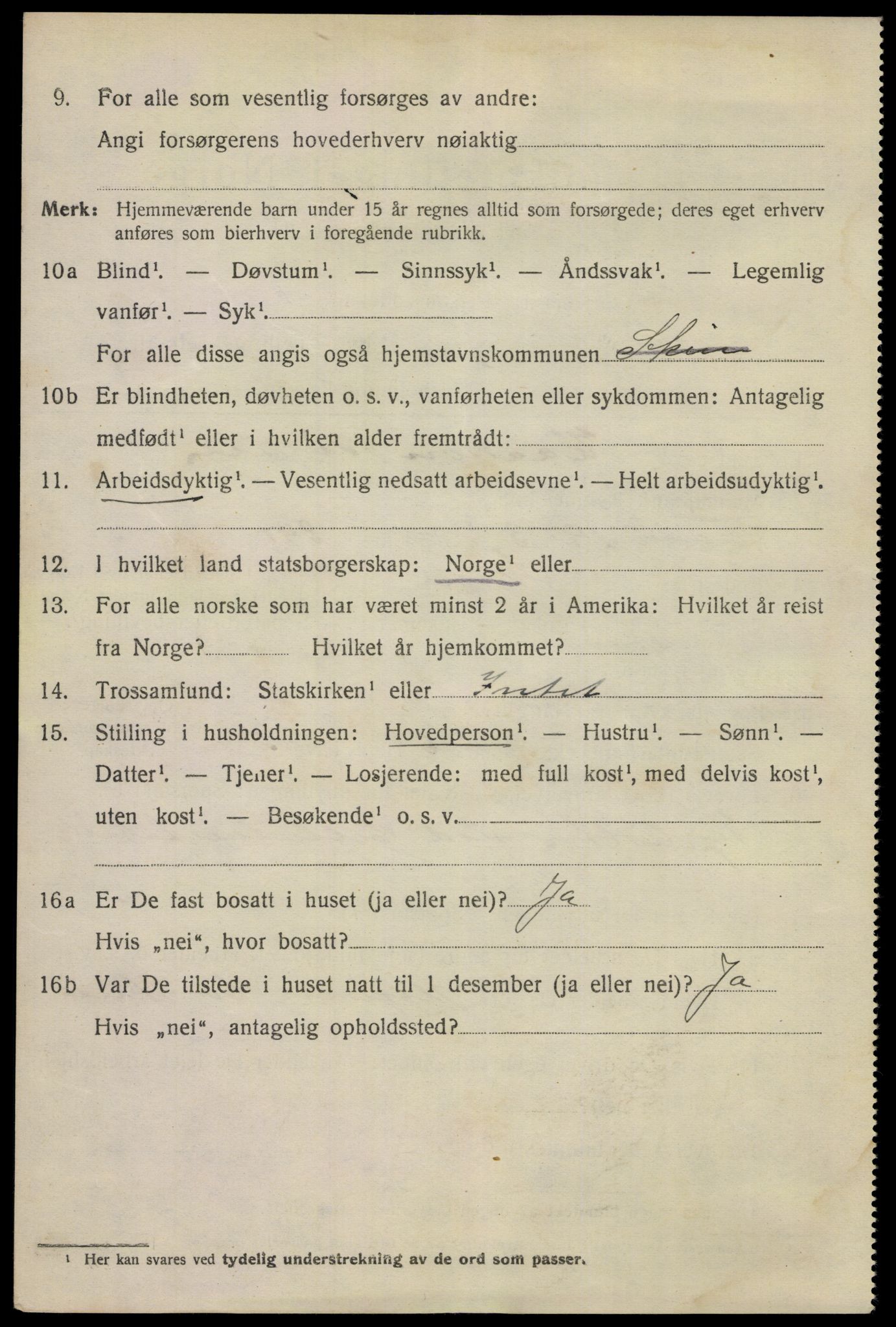 SAKO, 1920 census for Skien, 1920, p. 21793