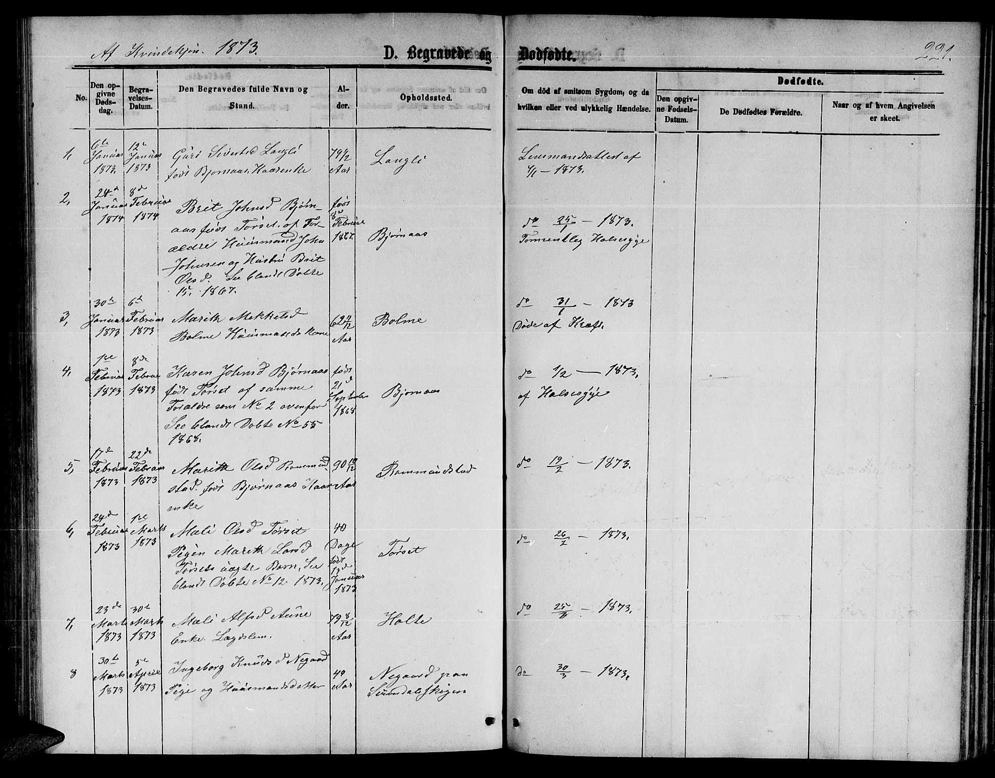 Ministerialprotokoller, klokkerbøker og fødselsregistre - Møre og Romsdal, AV/SAT-A-1454/598/L1076: Parish register (copy) no. 598C01, 1867-1878, p. 221