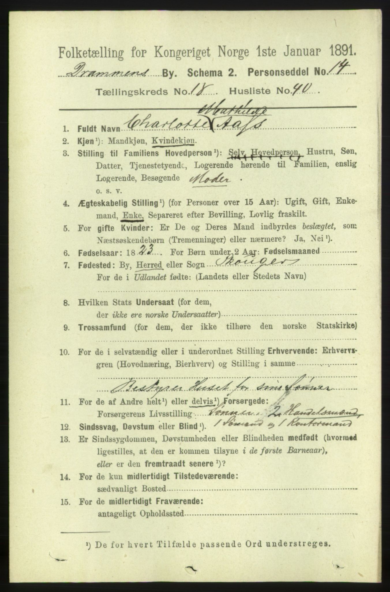 RA, 1891 census for 0602 Drammen, 1891, p. 11993