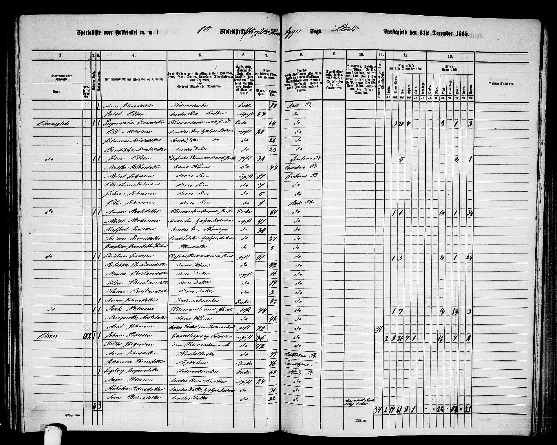 RA, 1865 census for Stod, 1865, p. 142