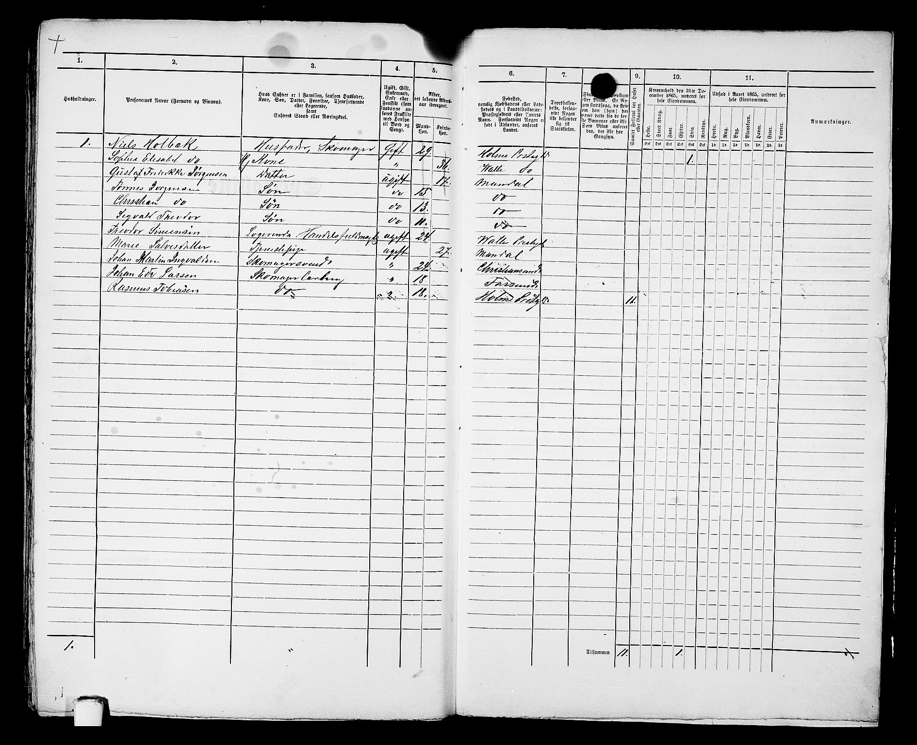 RA, 1865 census for Mandal/Mandal, 1865, p. 481