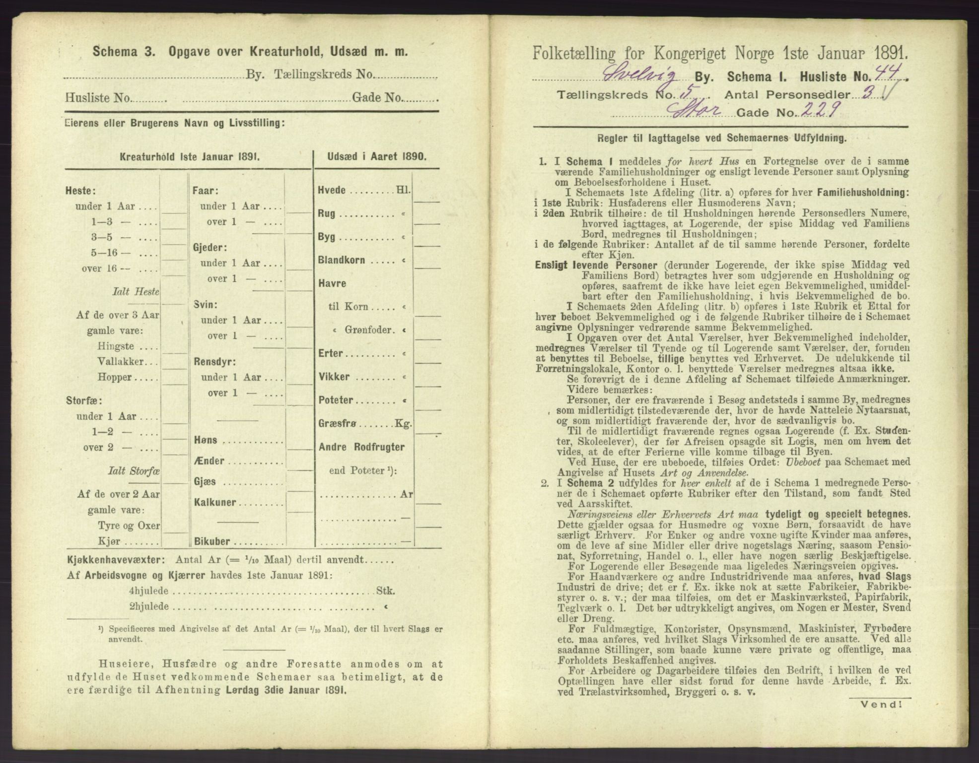 RA, 1891 census for 0701 Svelvik, 1891, p. 546