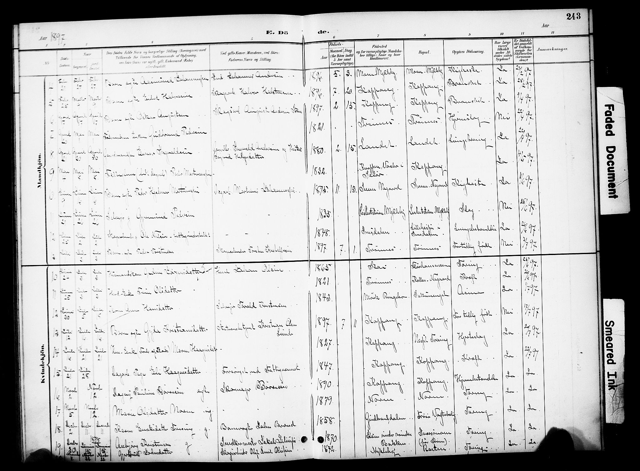 Stor-Elvdal prestekontor, SAH/PREST-052/H/Ha/Hab/L0003: Parish register (copy) no. 3, 1895-1917, p. 243