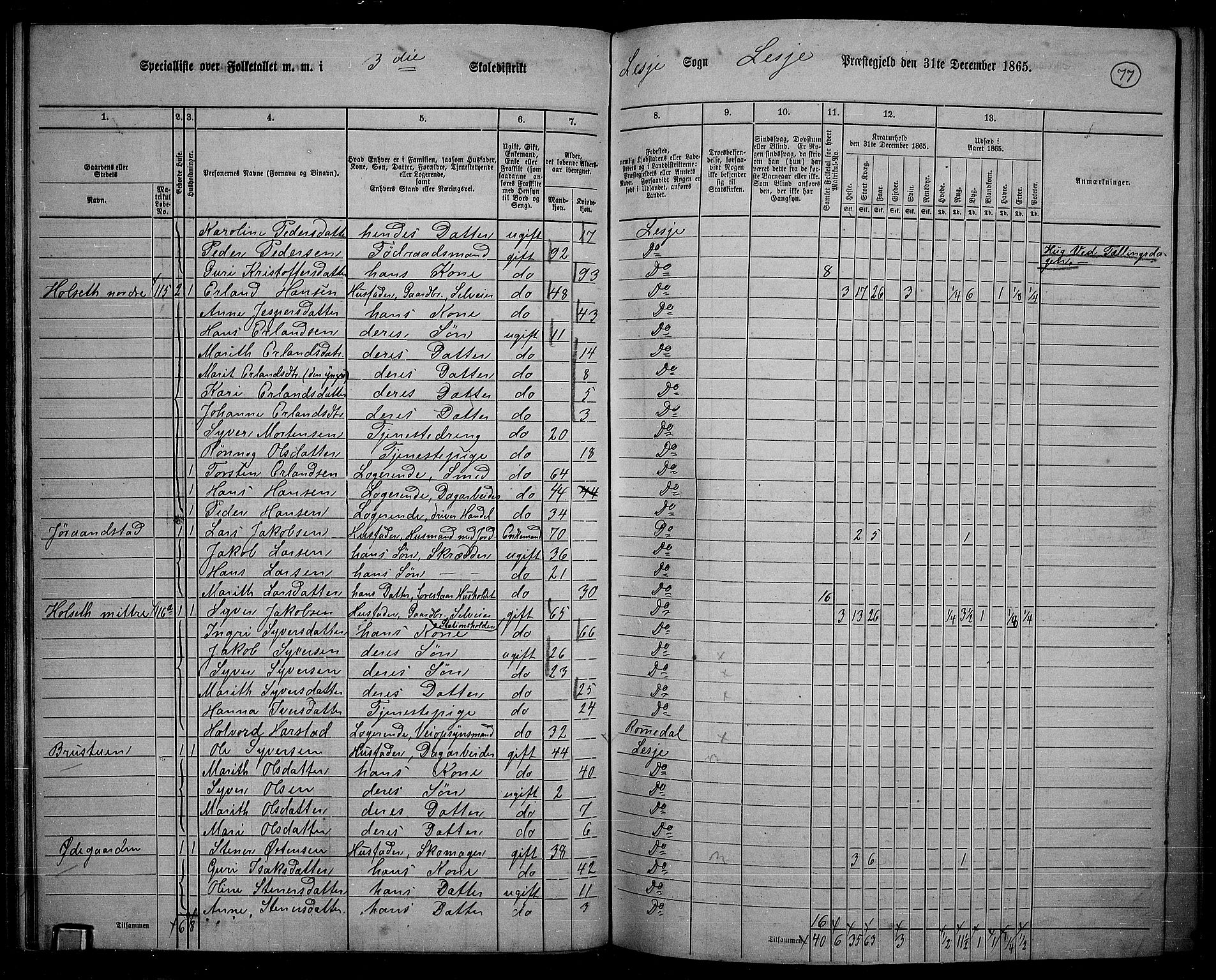 RA, 1865 census for Lesja, 1865, p. 67